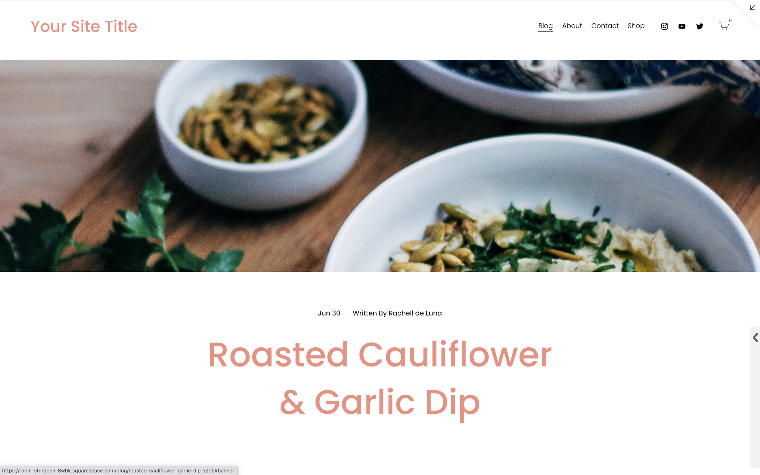 Blog Post Full-Width Banner