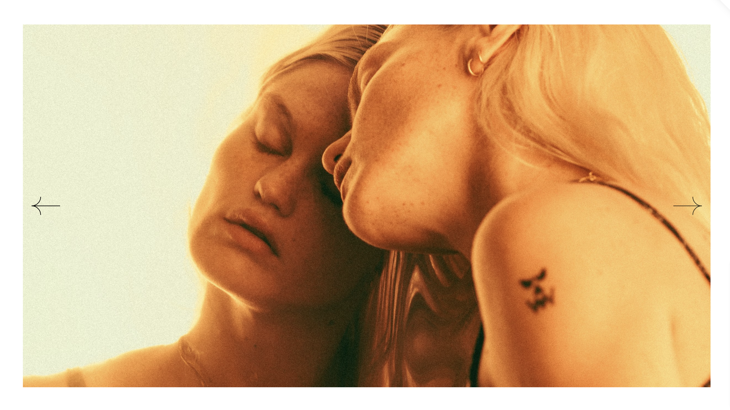 Custom Slideshow Arrow Icons