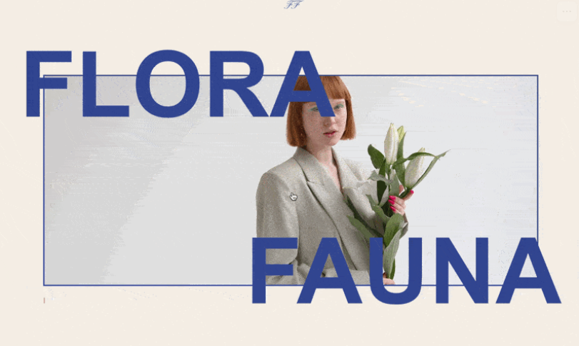 Expand Media on Scroll