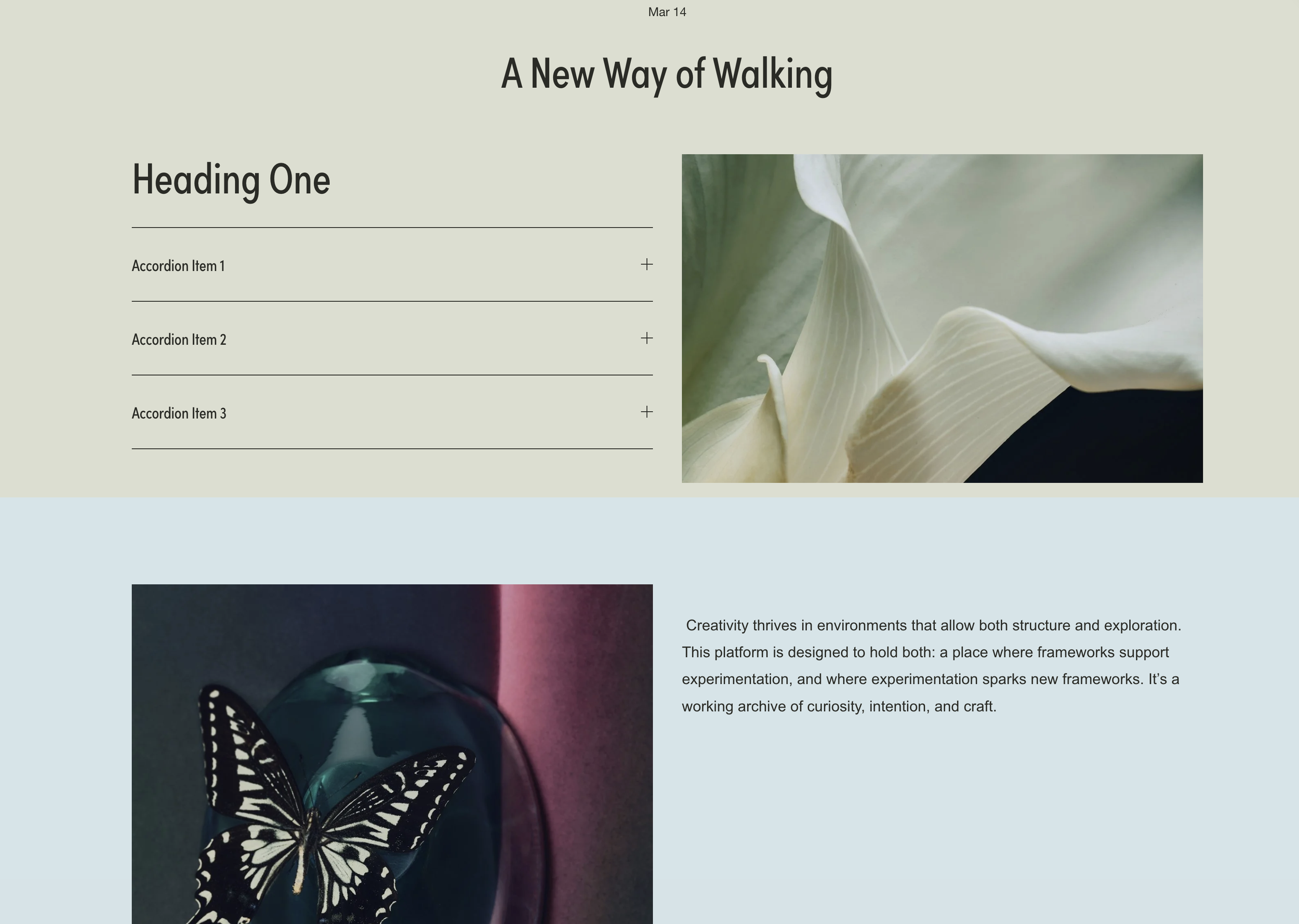 Blog Post Full-Width Sections