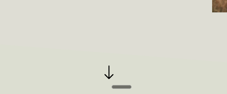 Scroll Down Arrow Indicator — Squarestylist