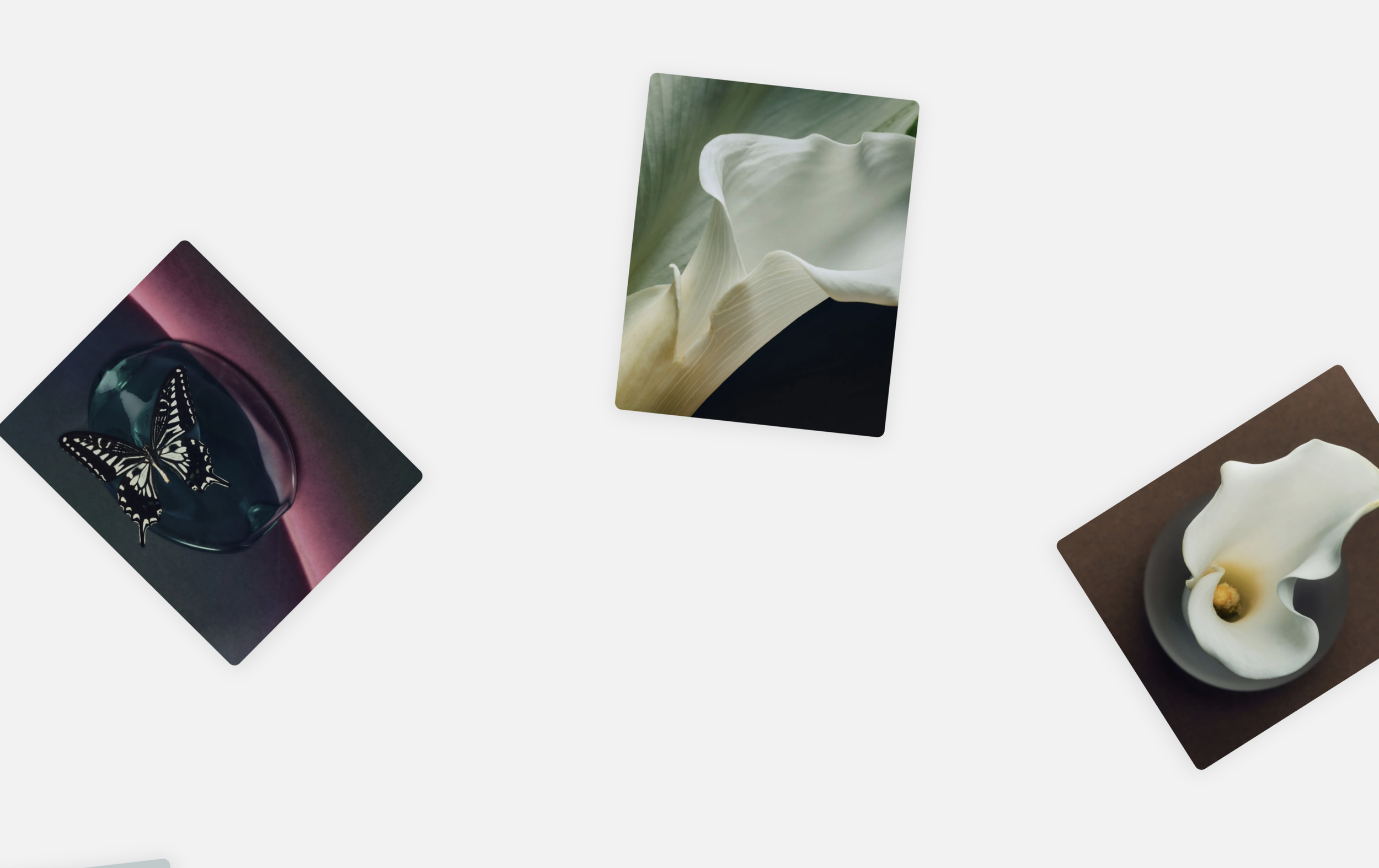 Circular Gallery Marquee