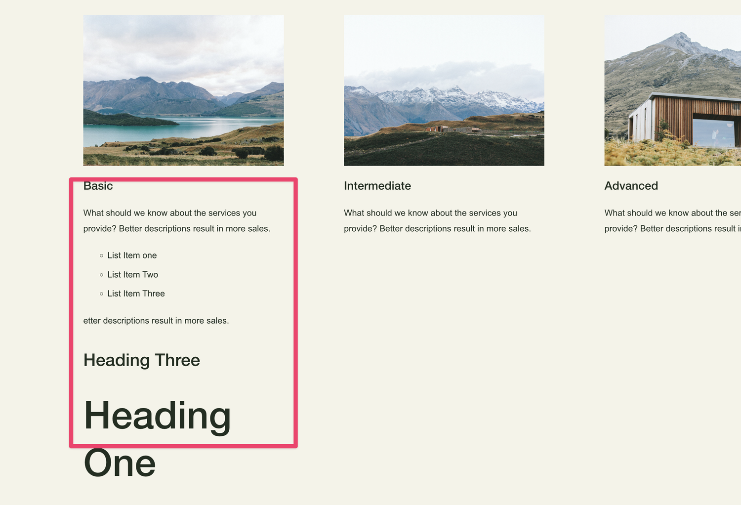 List Item Description Text Formats — Squarestylist