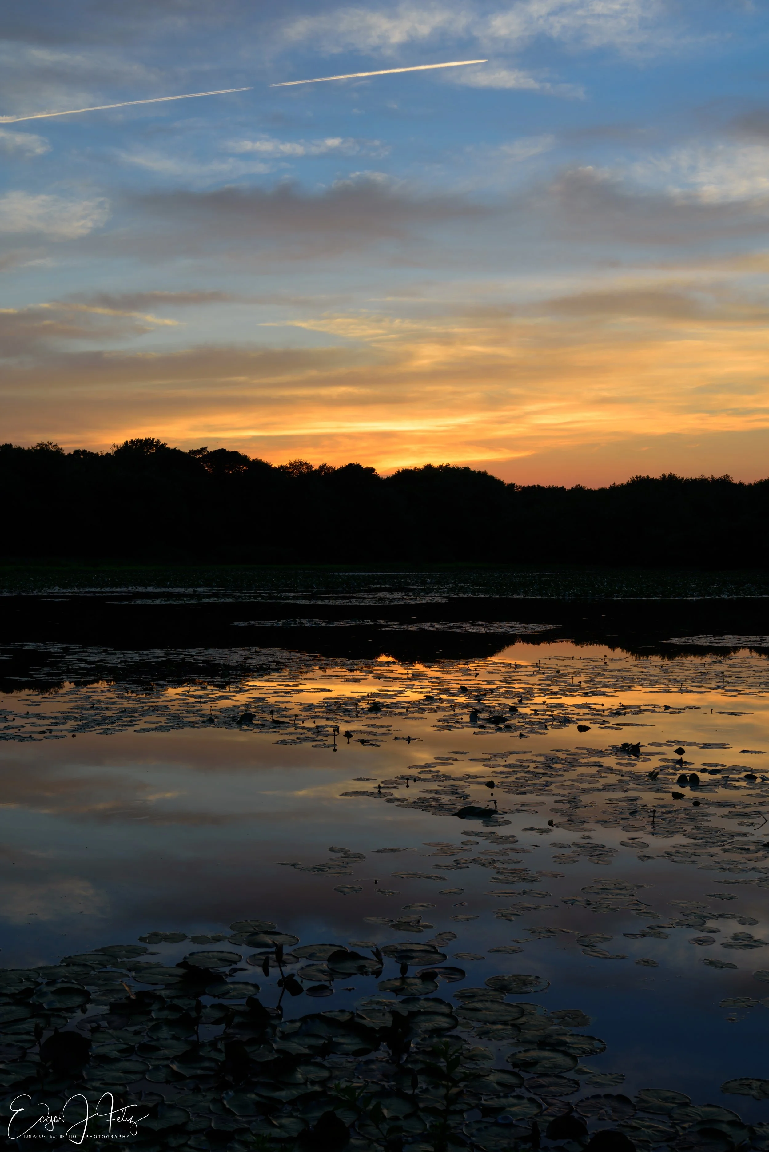 _DSC2552-1500953863015.jpg