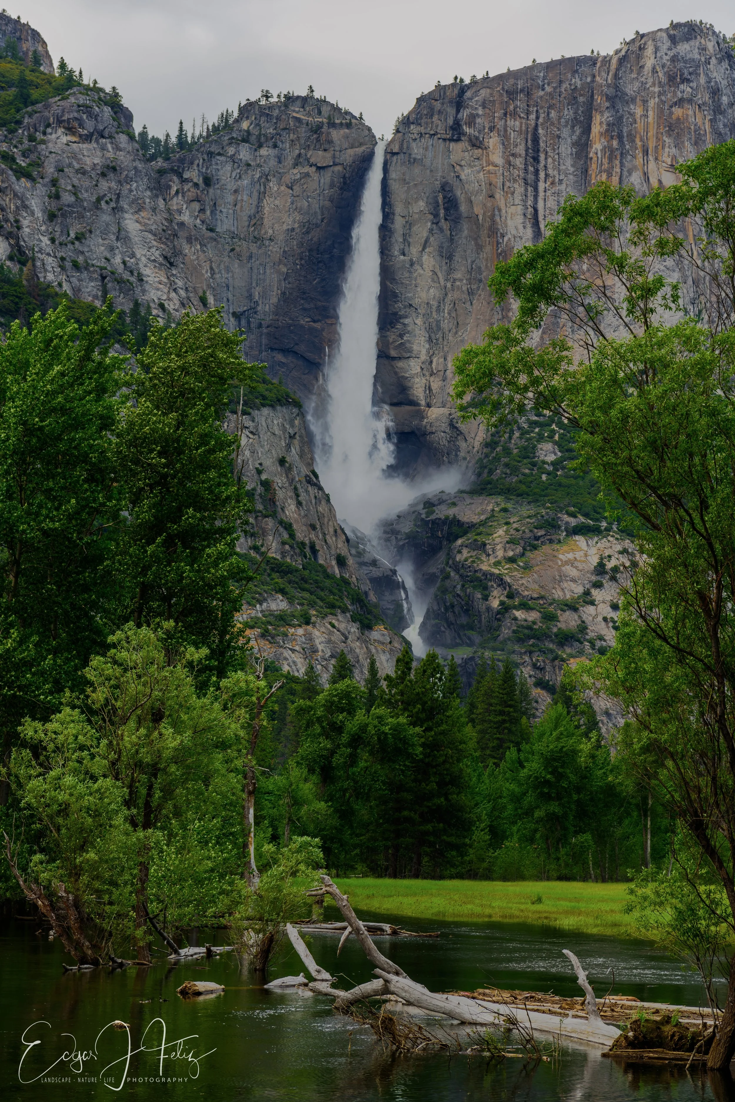_DSC1906-Edit-1501876766453.jpg