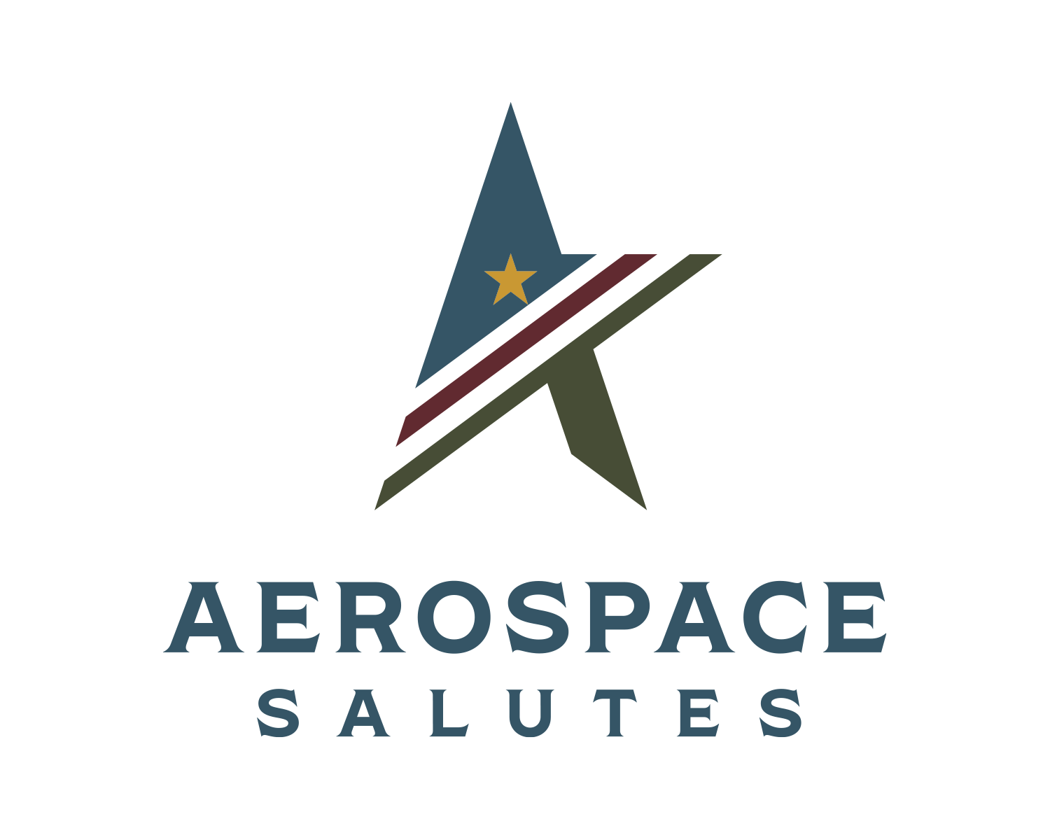 Aerospace Salutes Logo & Branding