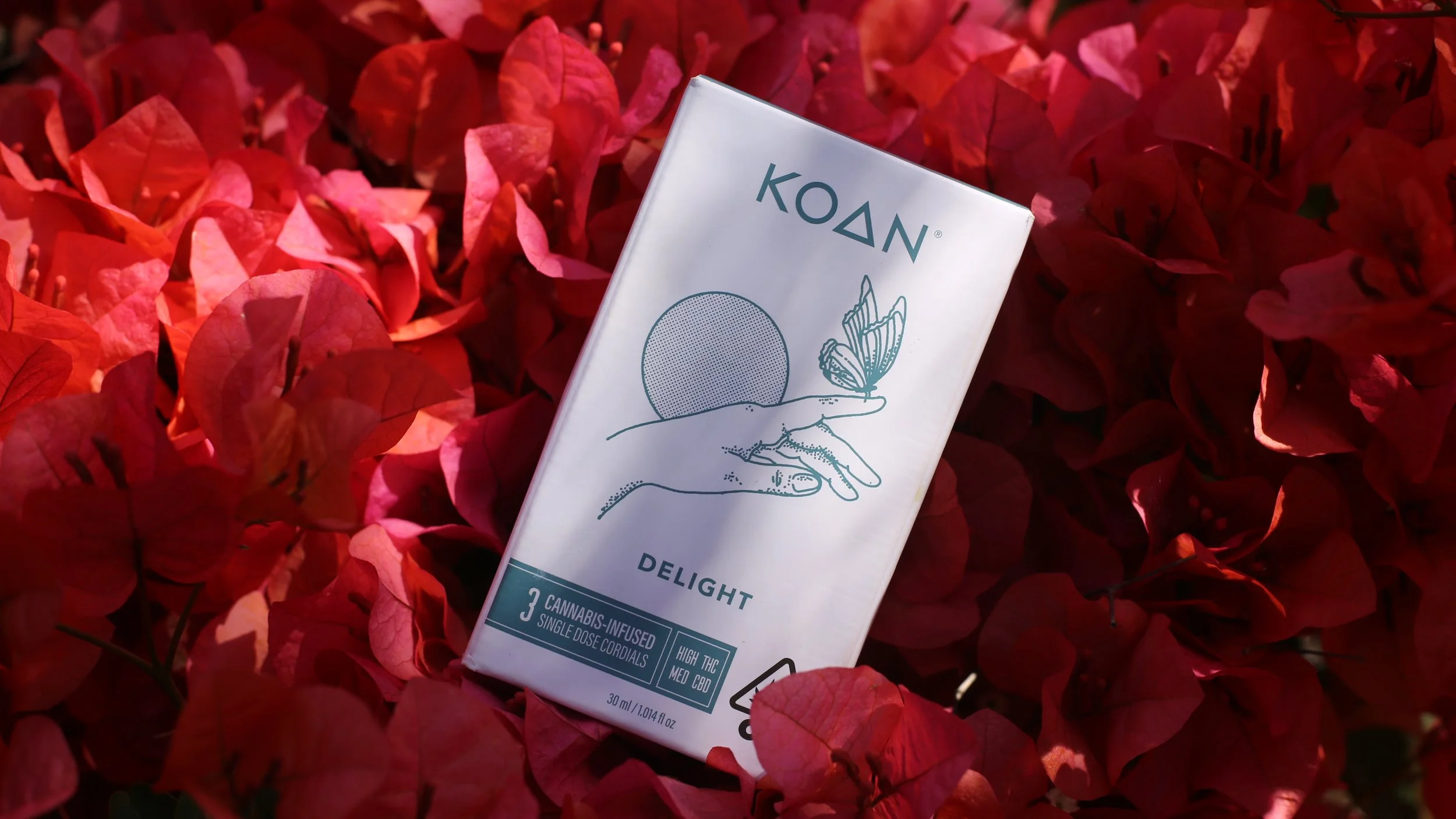 Koan_Delight_ Bougainvillea. jpg.JPG