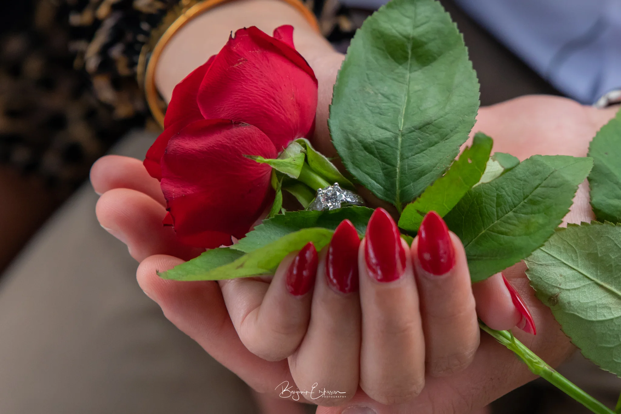 SurpriseEngageMN9Website.jpg