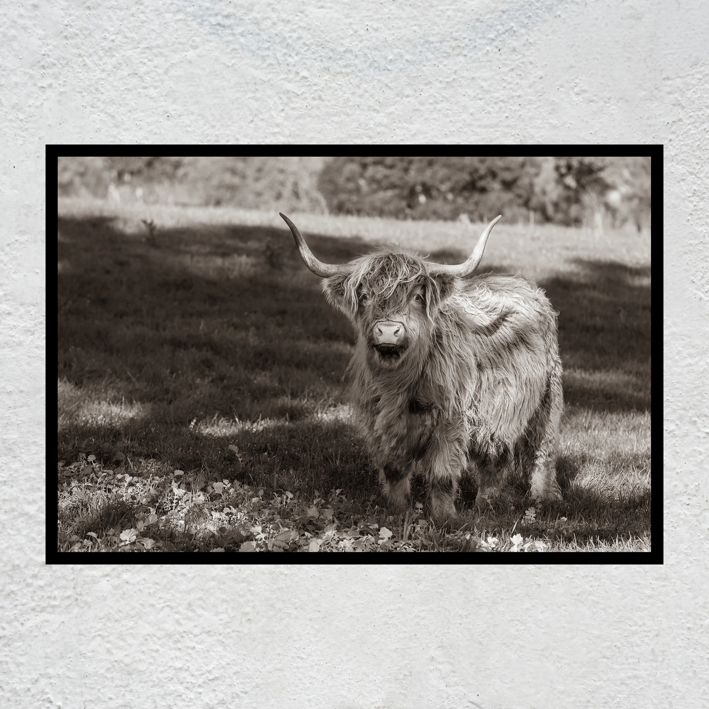 Scruffy sq white concrete wall.jpg