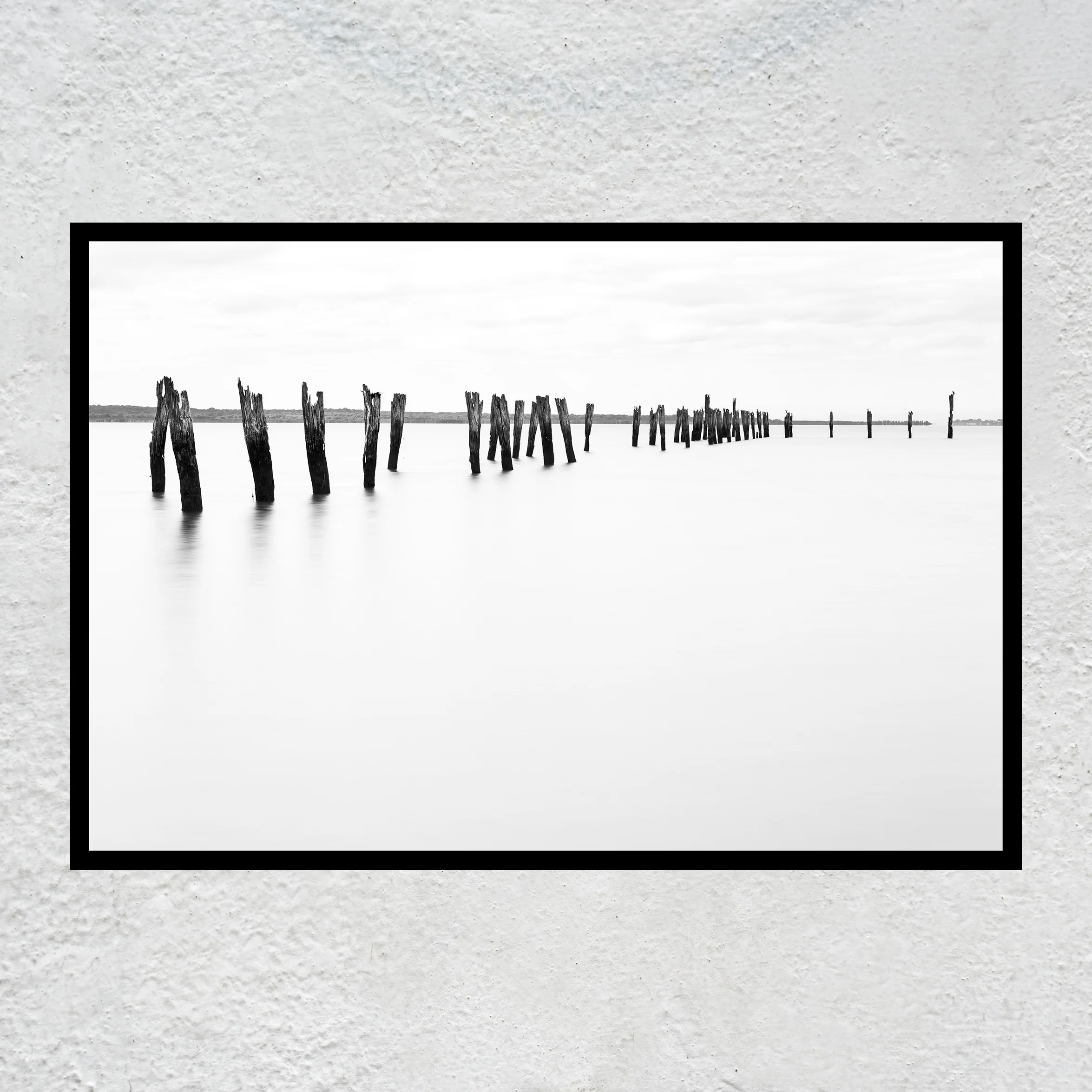 Plyons BnW Wall.jpg