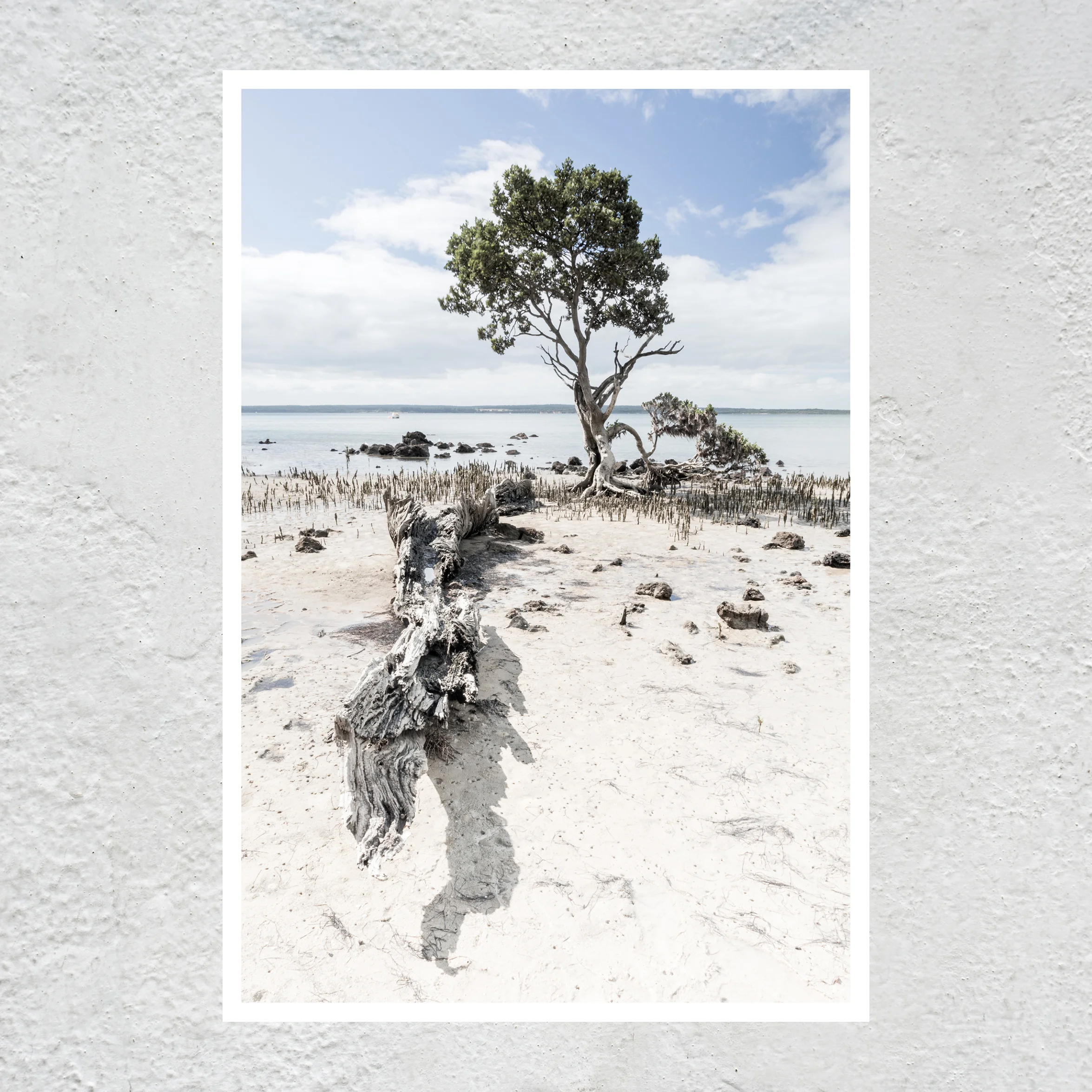 Deserted Island White sq white concrete wall.jpg