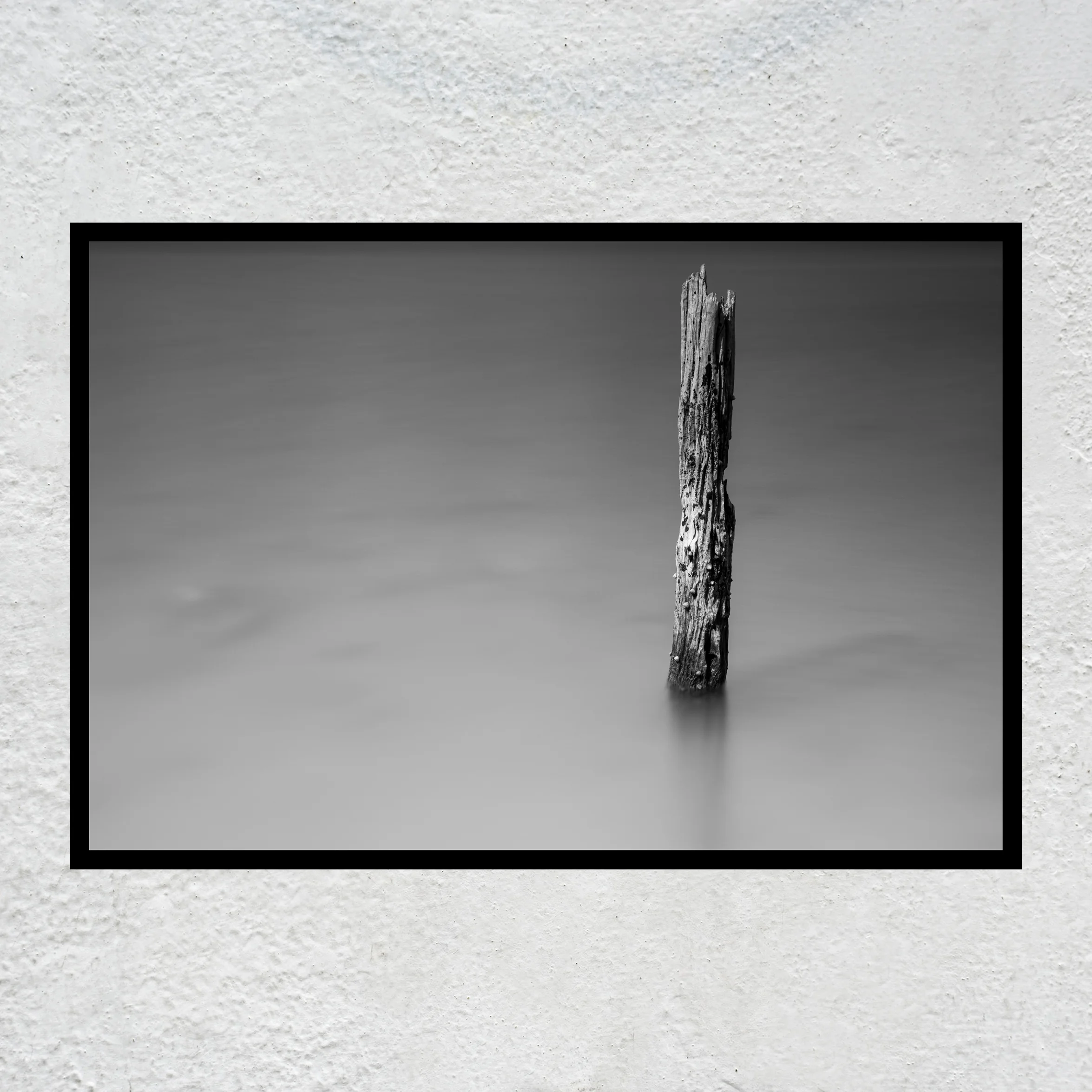 Determined BnW sq white concrete wall.jpg