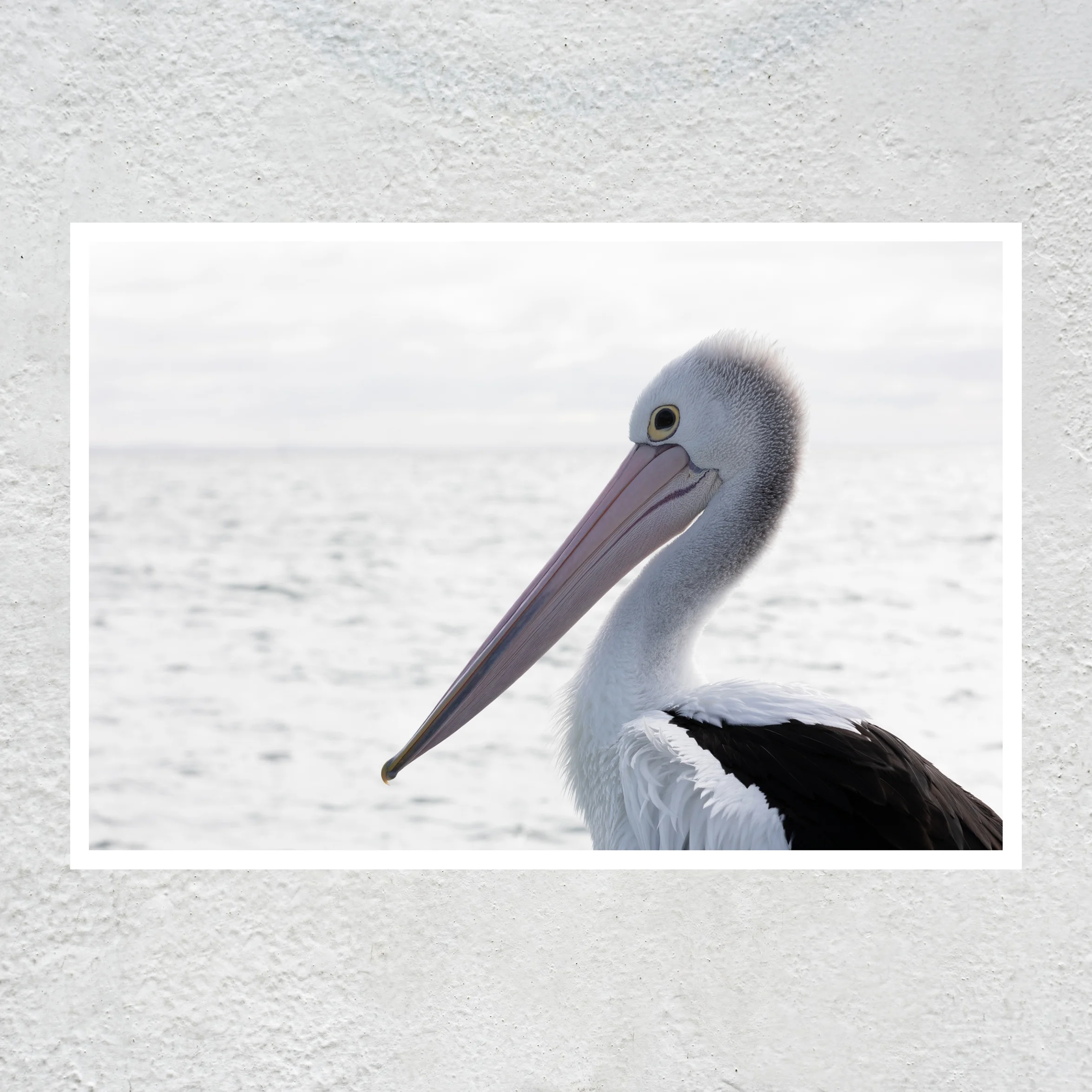 The Observer White frame sq white concrete wall.jpg