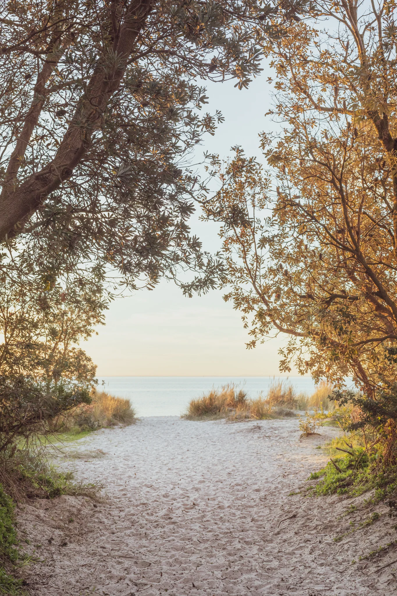 Those Summer Days Original File.jpg