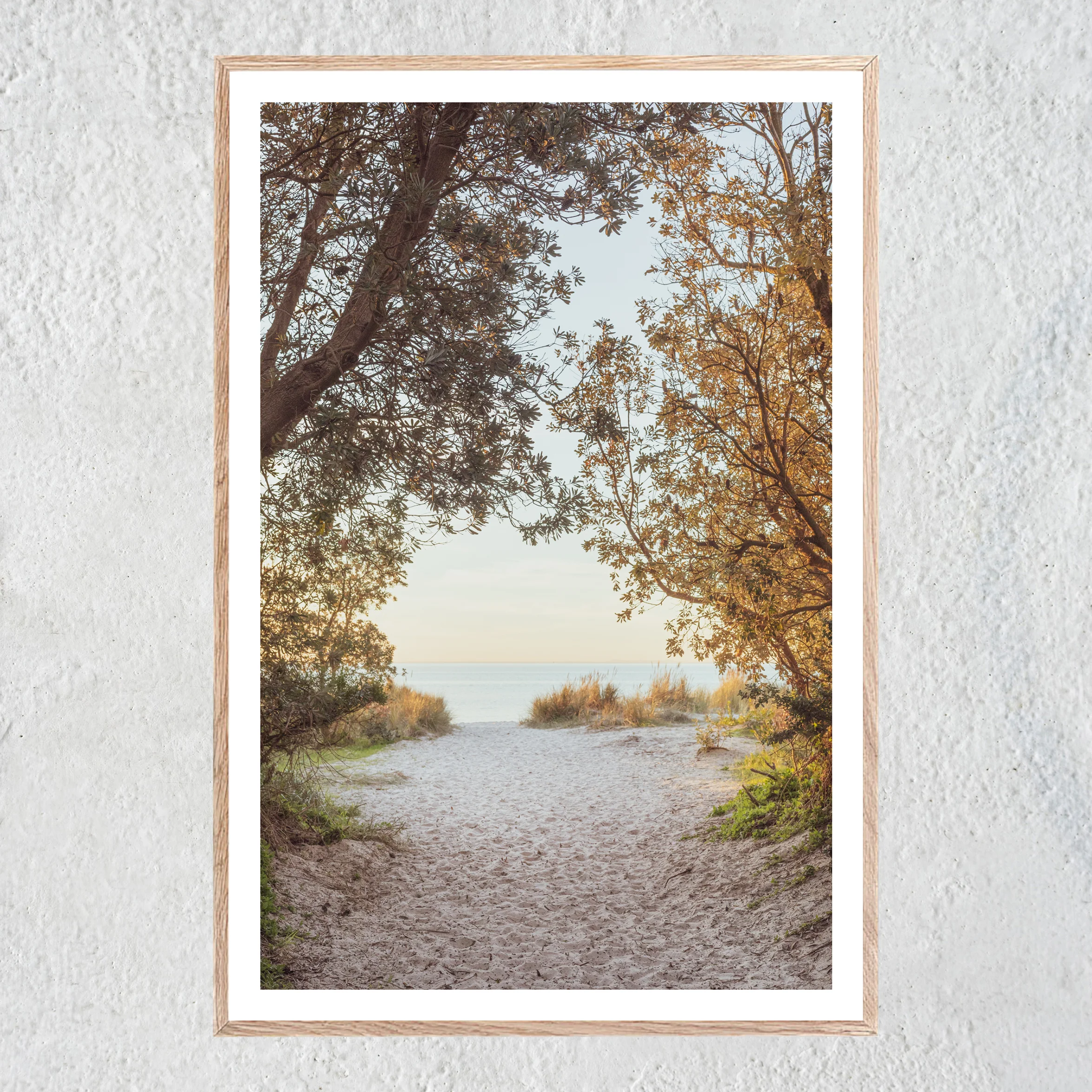 THOSE SUMMER DAYS WB Portrait Oak Centered No 2 sq white concrete wall.jpg