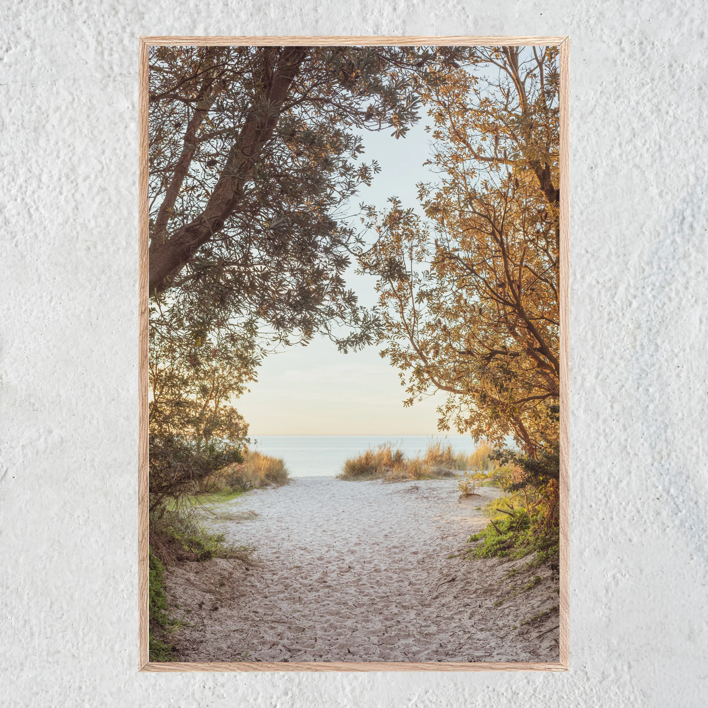 Thise Summer Days Portrait Oak Centered No 2 sq white concrete wall.jpg