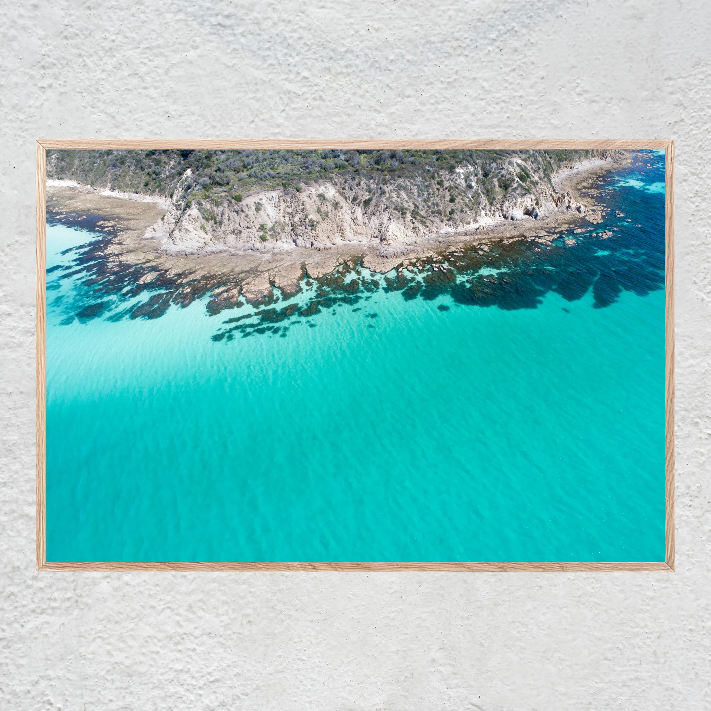 Coastal Paradise Oak Centered No 2 sq white concrete wall.jpg