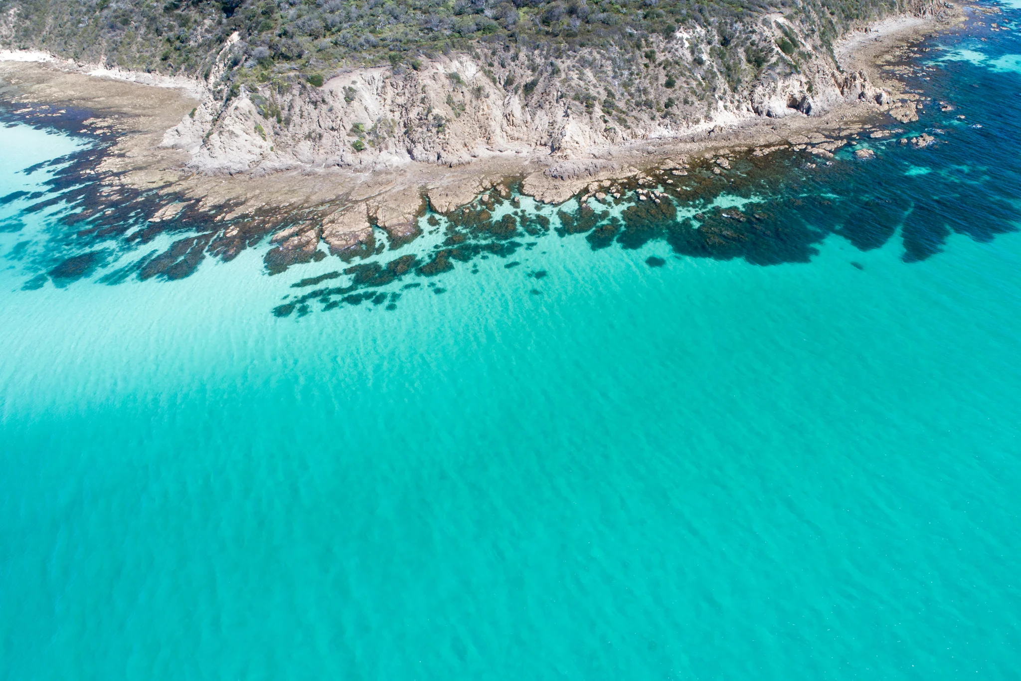 Coastal Paradise Original File.jpg
