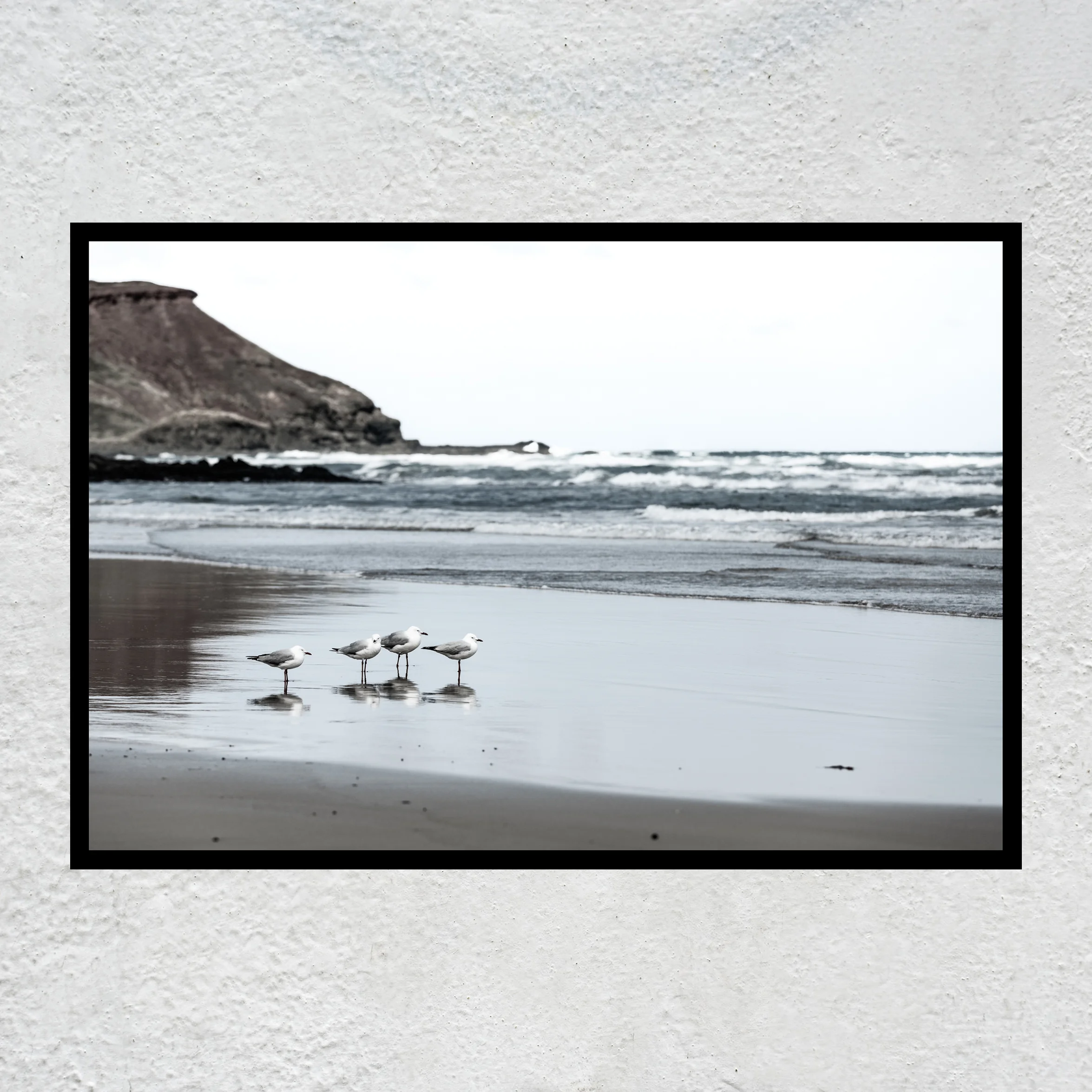 Beach Bums Black sq white concrete wall.jpg