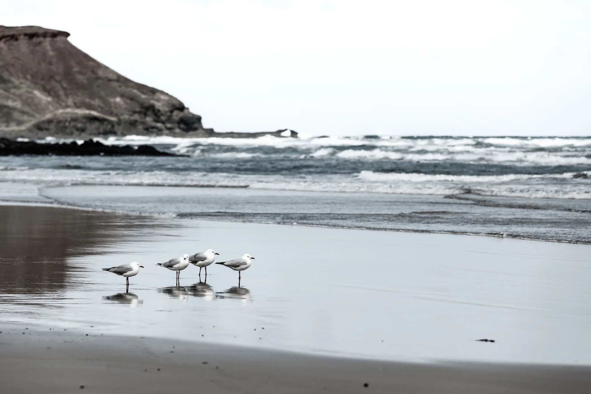 Beach Bums Original File.jpg