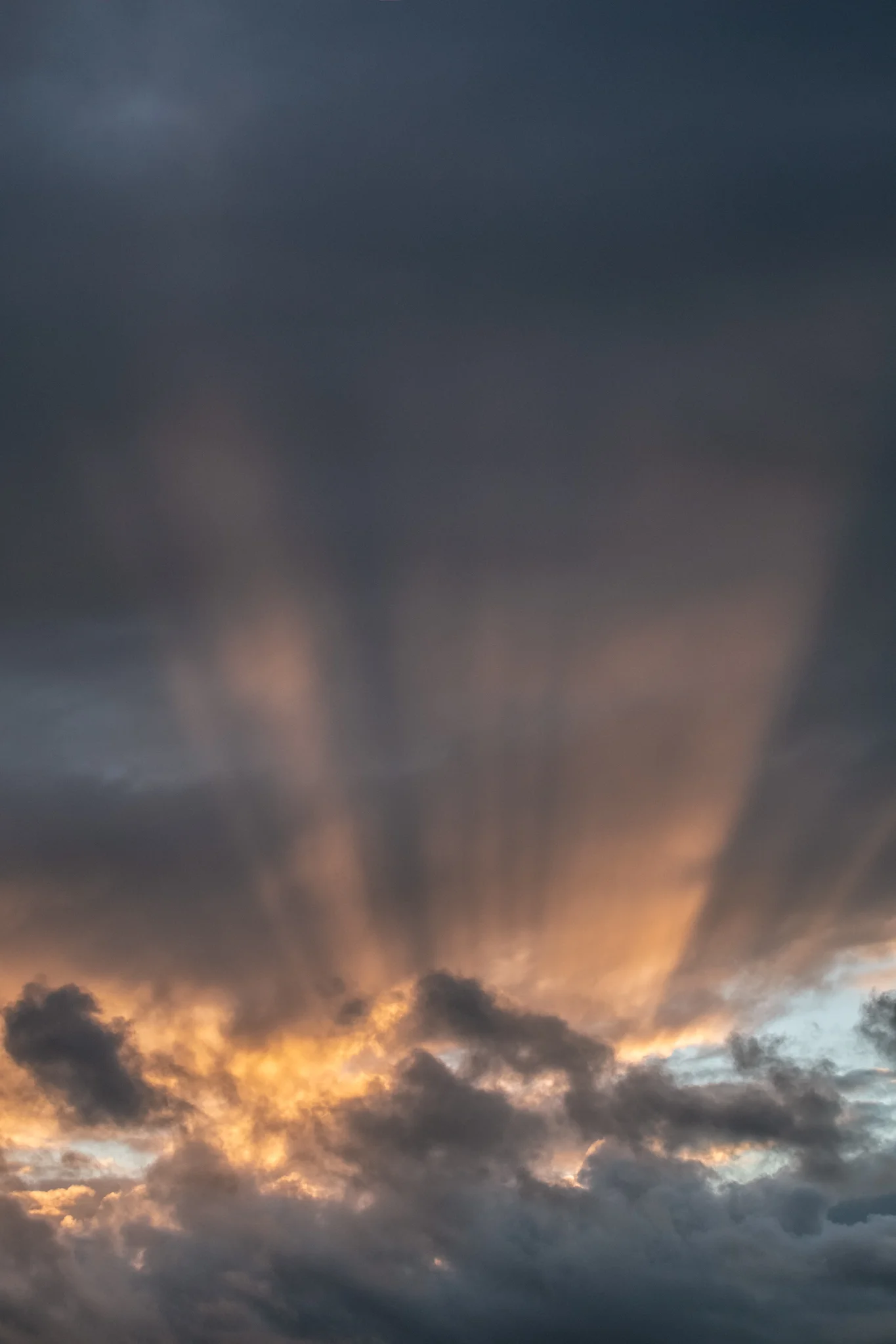 San Remo Dreaming Original File.jpg