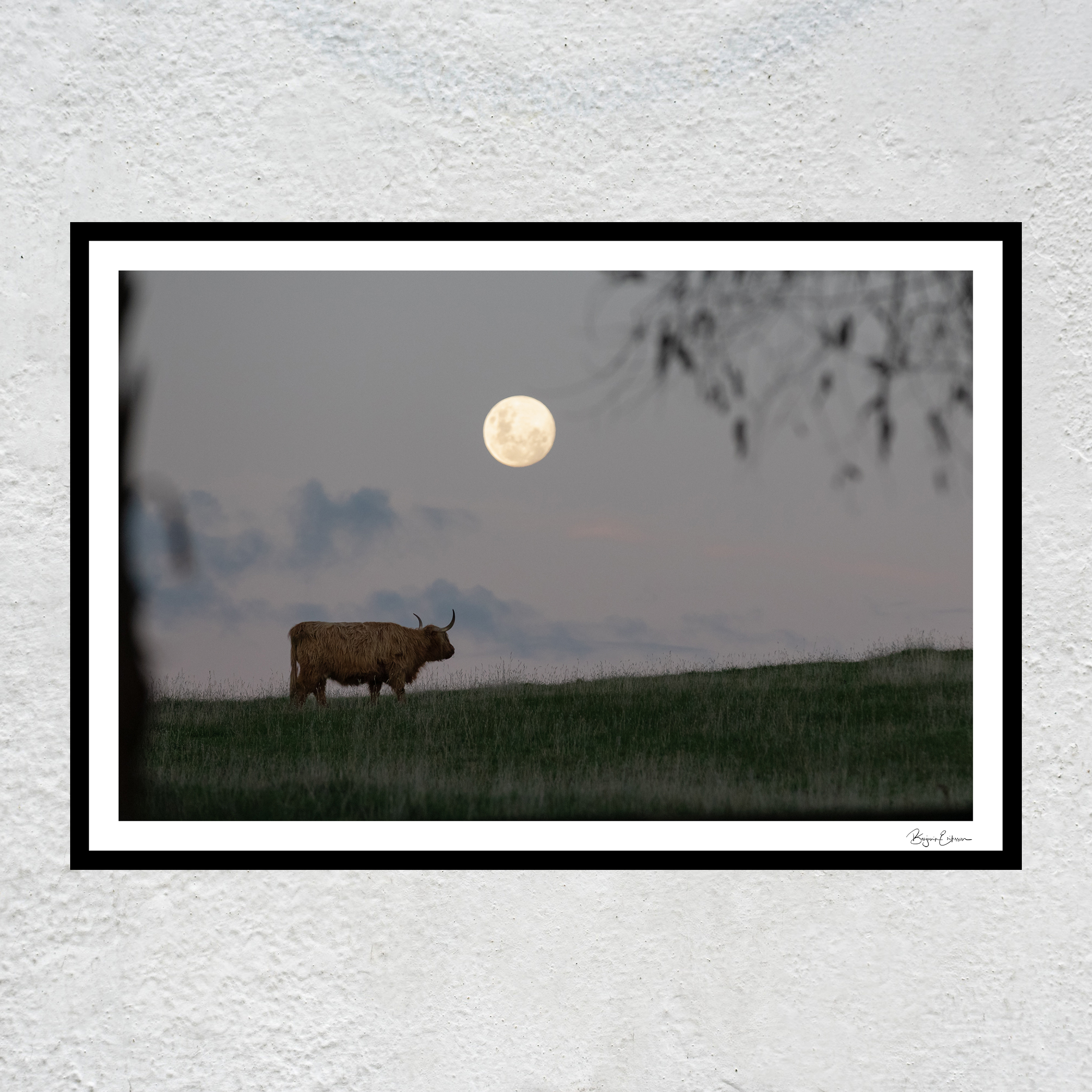 Highland Moonrise wb Black signature sq white concrete wall.jpg