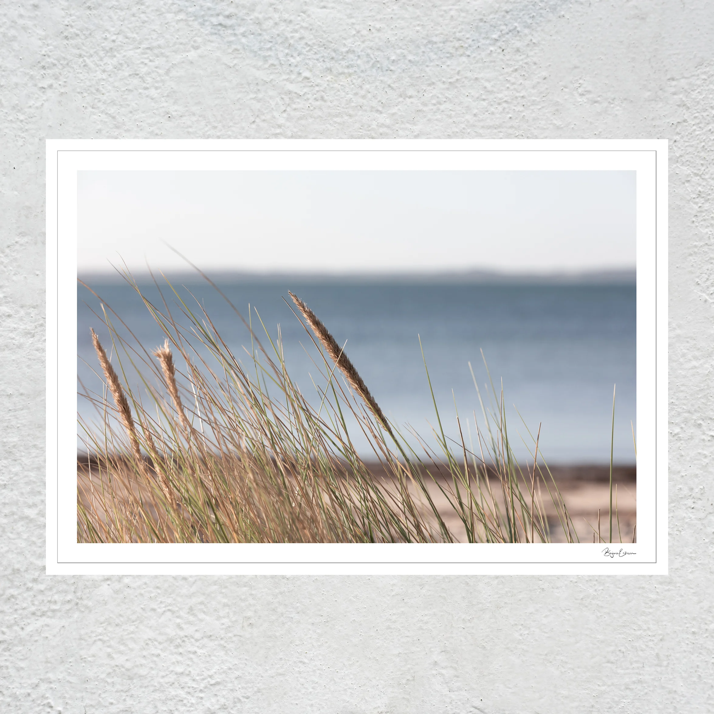 Coastal Textures wb sq white concrete wall.jpg