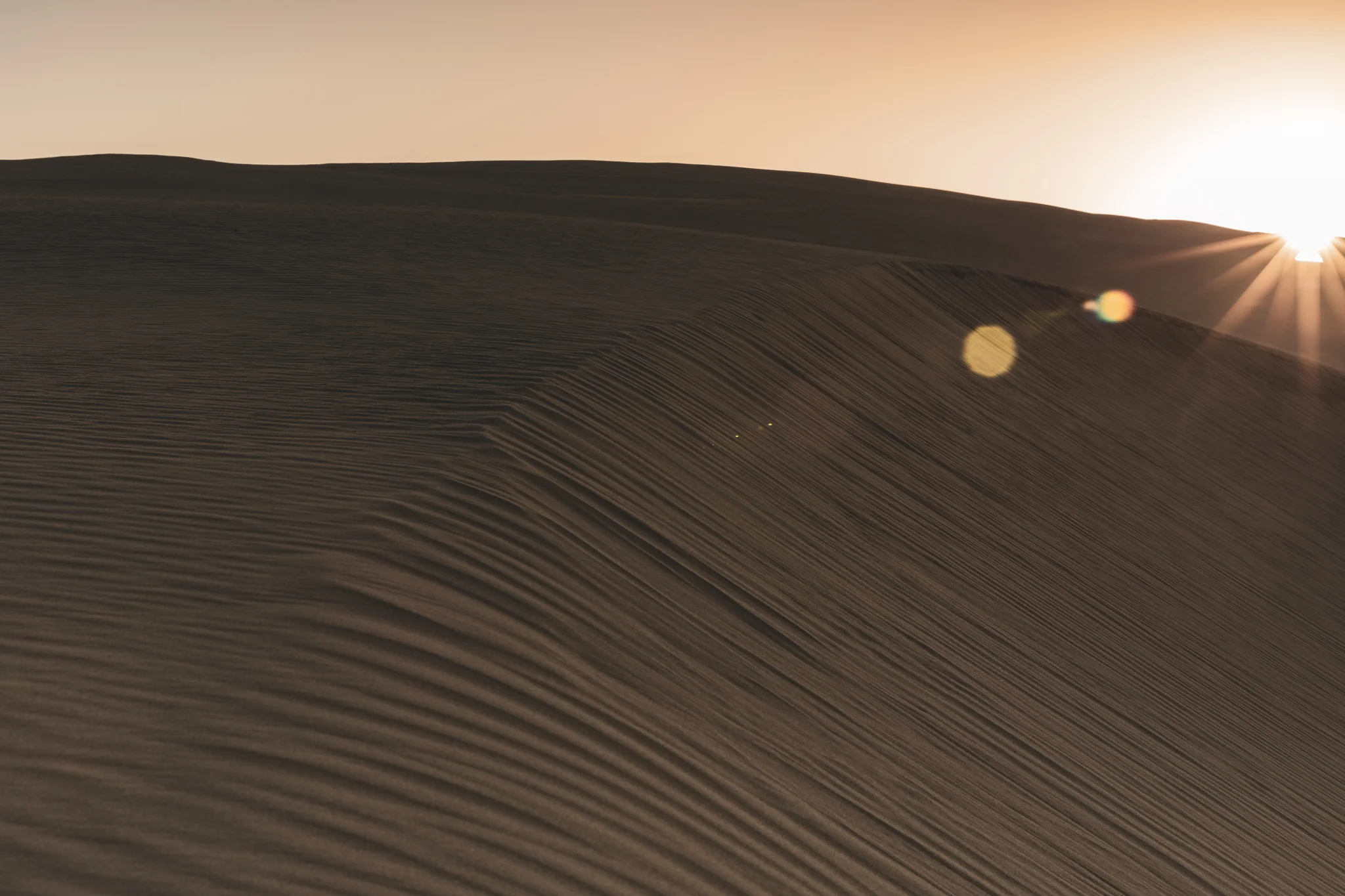 Desert Sunset.jpg