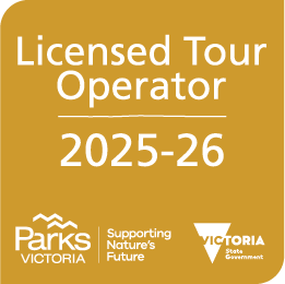 LTO-Membership-mark-2025-26_22x22-CMYK.png