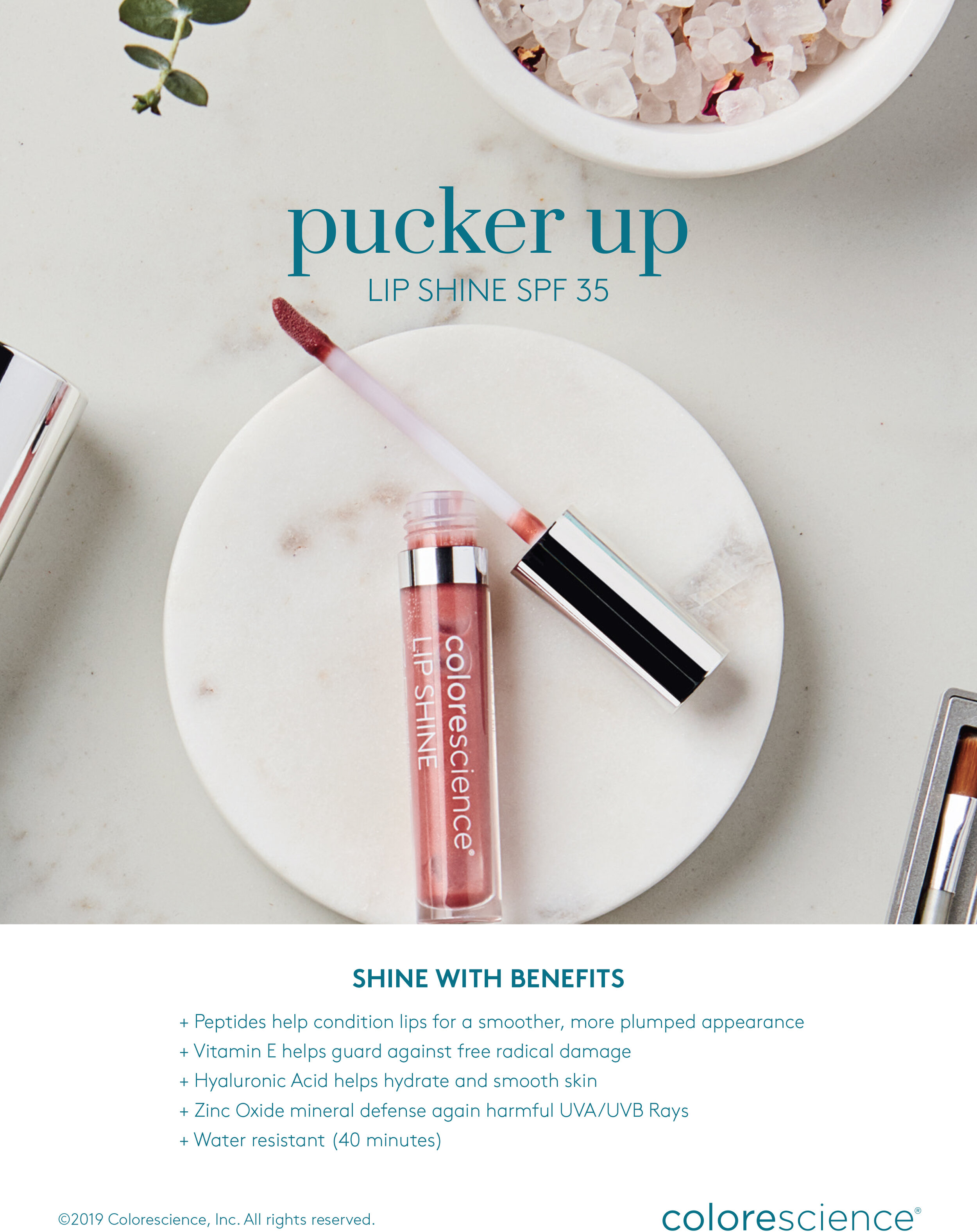 CS-19-107_POP_Lip Shine Benefits (1).jpg