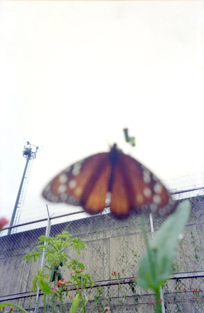 de la LLECA al COHUE: Photography in Venezuelan Penitentiarie