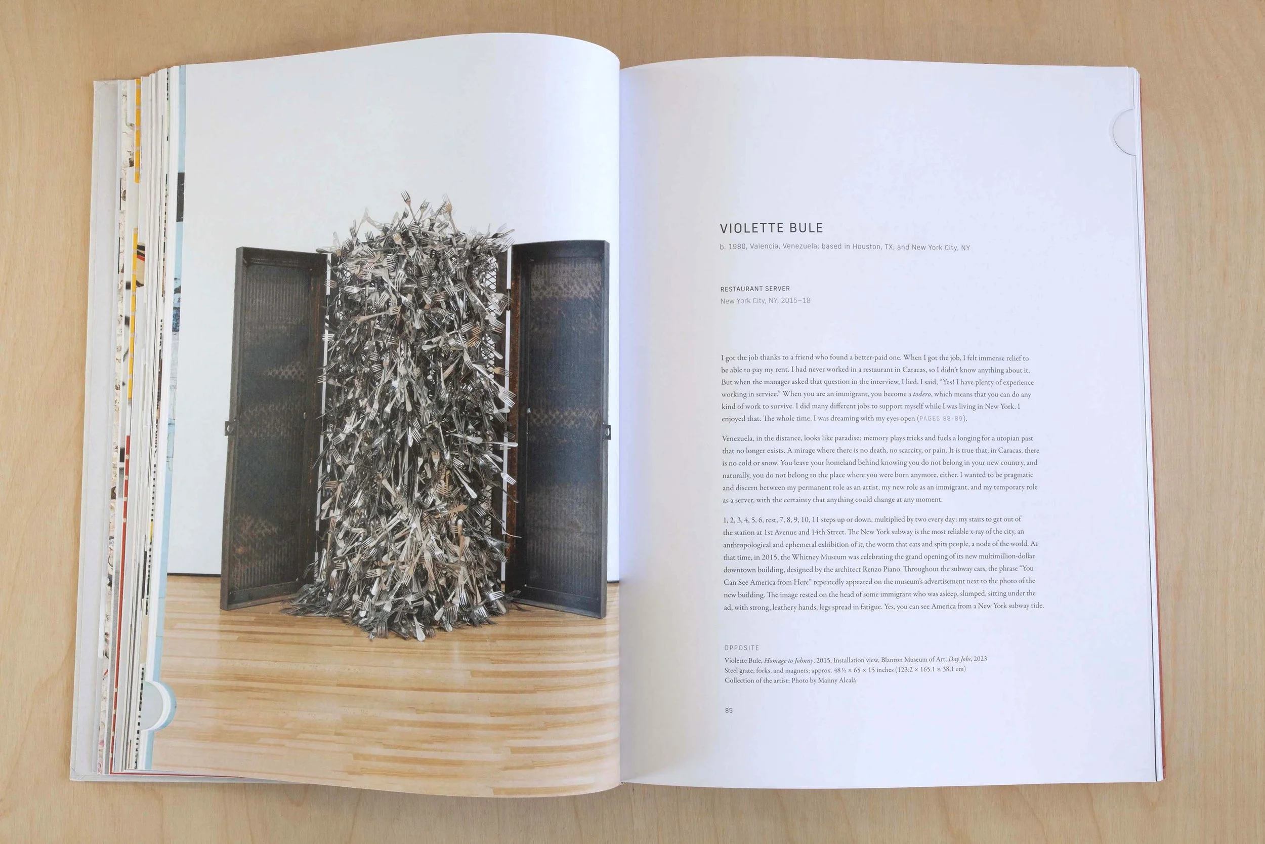Homage to Johnny Personal Essay - Day Jobs Book