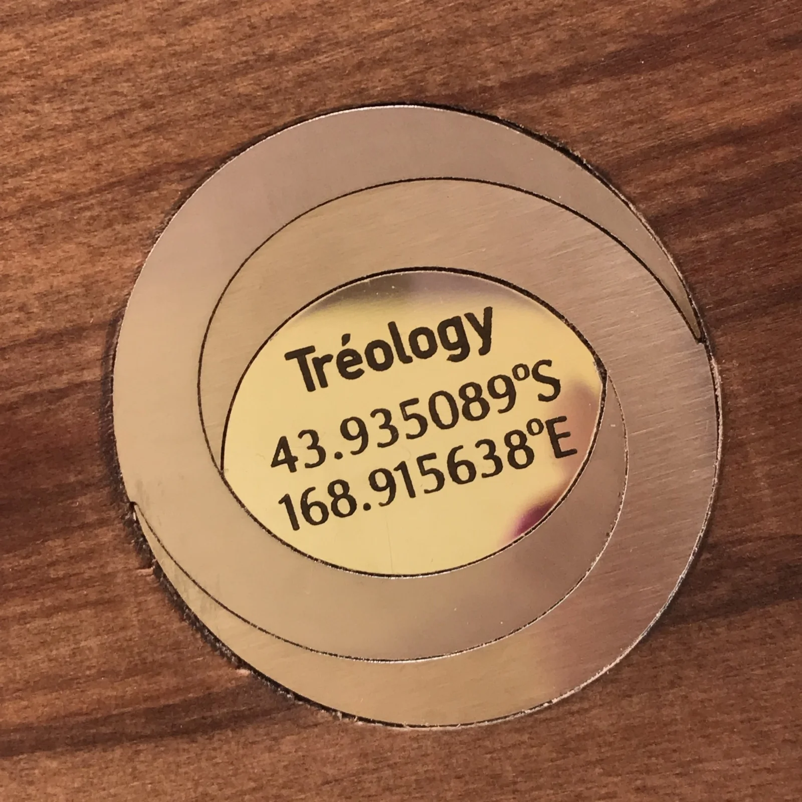 Treology Logo with the GPS coordinates of where the River Rescued Rimu tree was found.