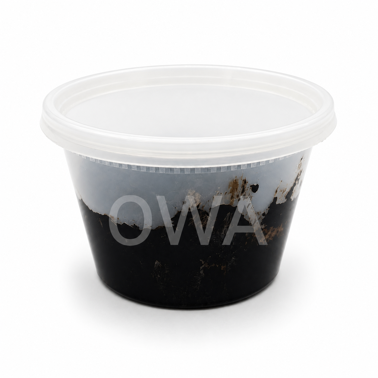 Oshole Money Soap - With Instructions