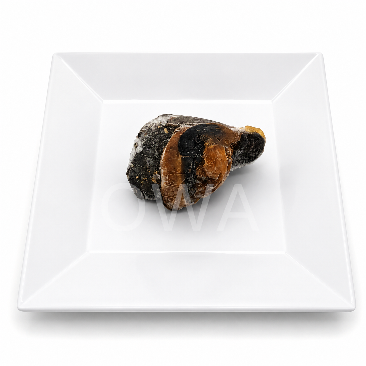 Frozen Snail For obatala.png