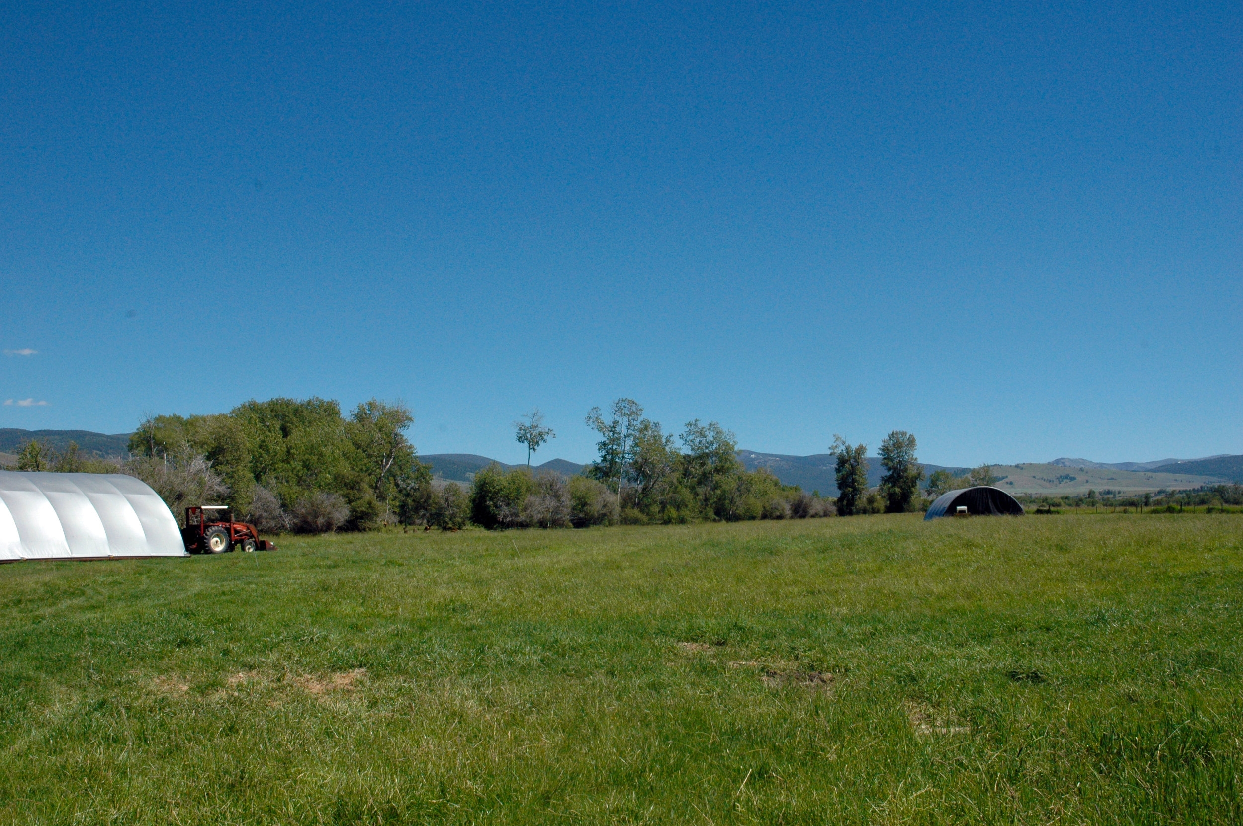 Living River Farms pasture with portable chicken housing for protection