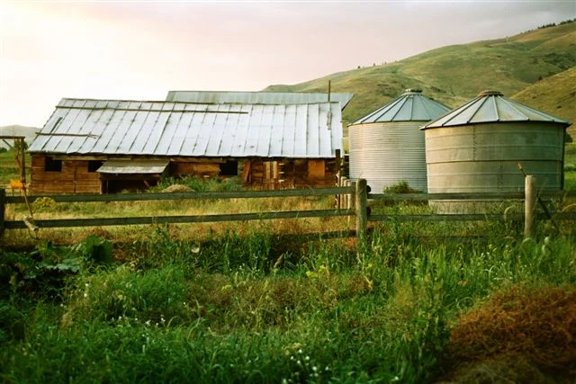 North facing photo from 2005. Looking at the weeds, all I can say is the more things change, the more they stay the same here at the Rusty Nail