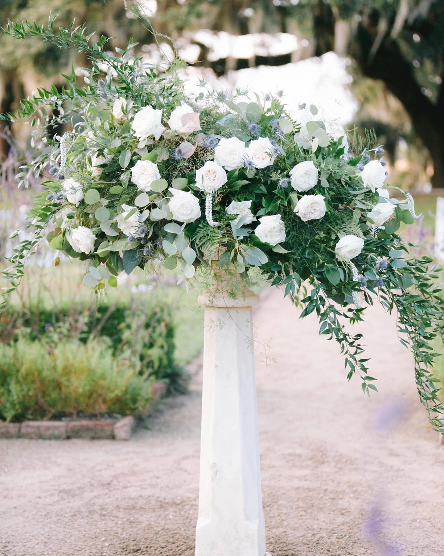 Sitting over here wishing that Instagram had a scratch + sniff feature...
⠀⠀⠀⠀⠀⠀⠀⠀⠀
Photography: @katetimbers
Venue: @middletonplace
Planner @cruzcoordination
Floral: Charleston Wedding Studio
⠀⠀⠀⠀⠀⠀⠀⠀⠀
#charlestonwedding #charlestonweddingstudio #mi