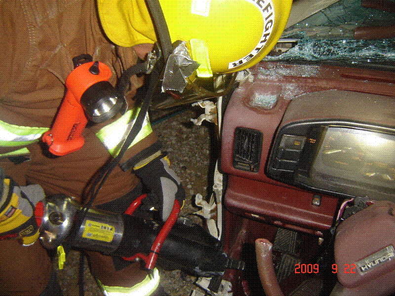 pic9.gif