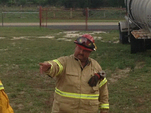 pic2.gif