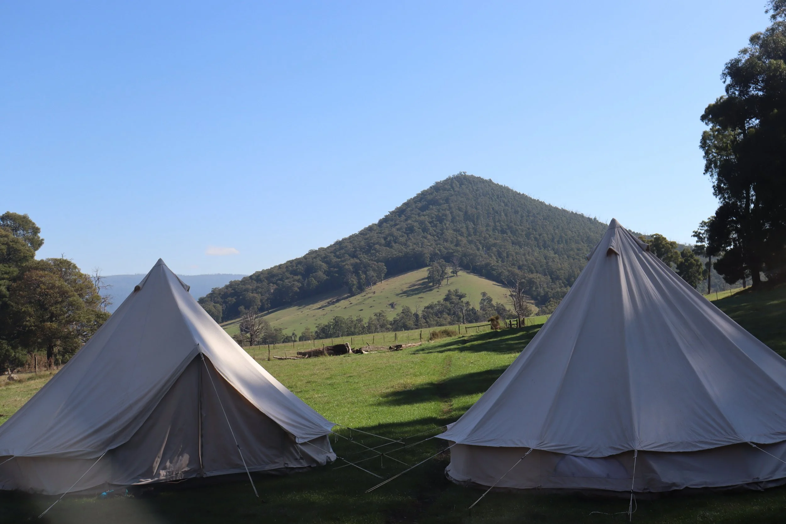 CA - Lessons in Survival