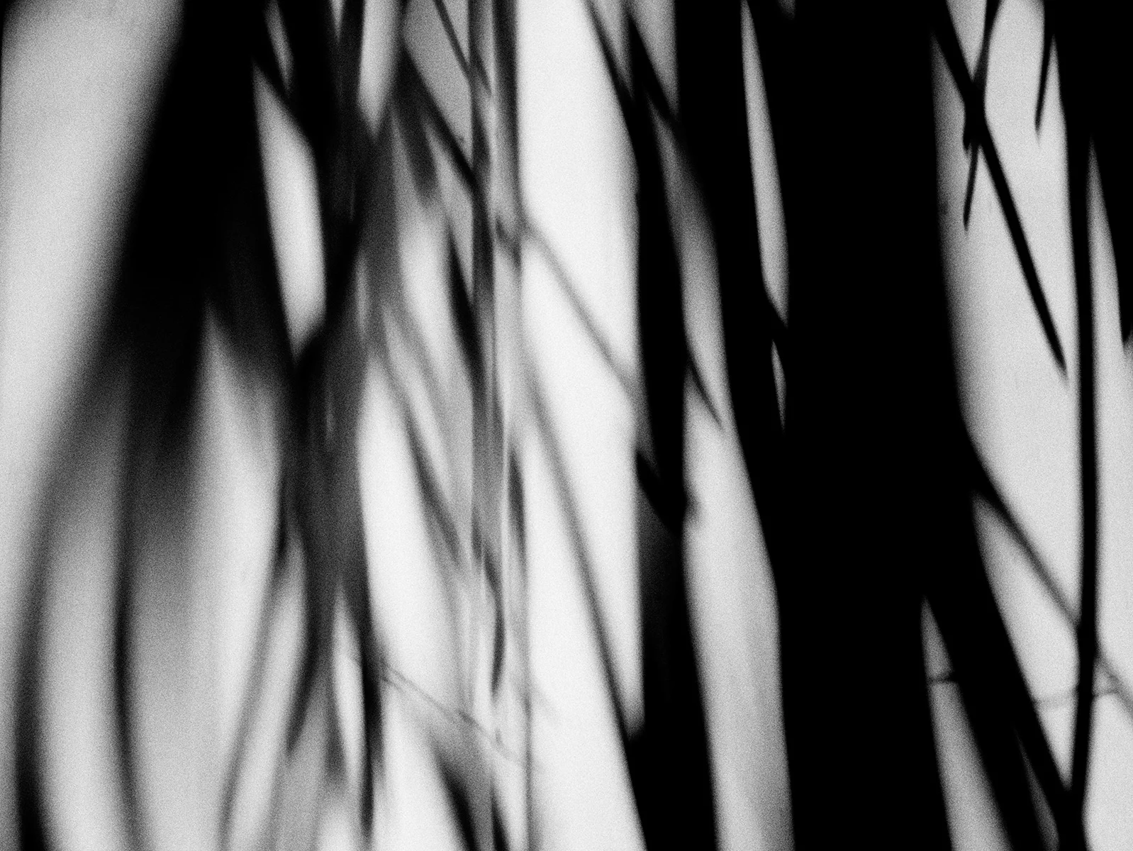 _1220402.jpg