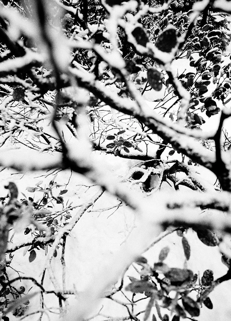 _1220590.jpg
