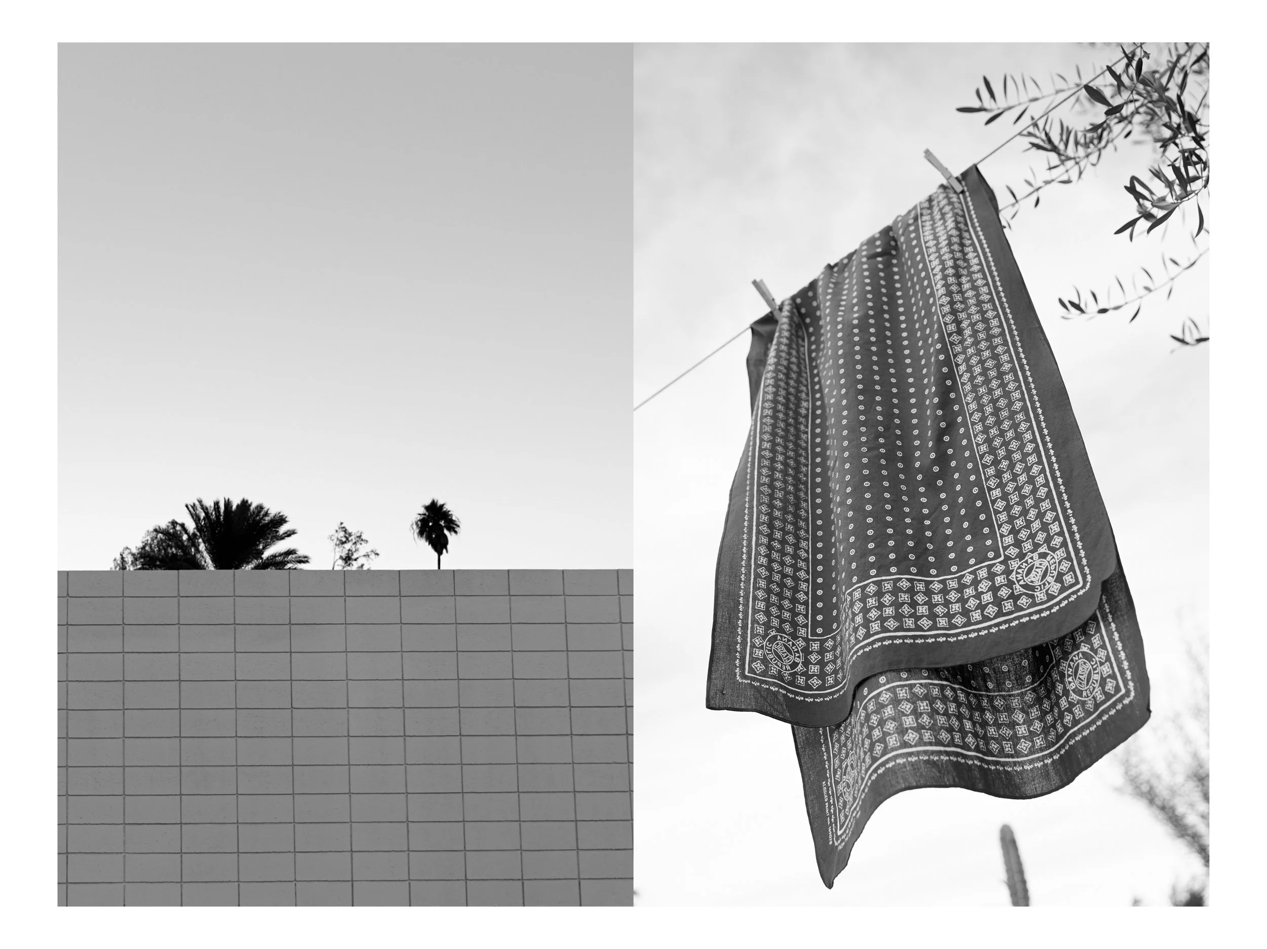 19SPR-campaign-still-life-spreads-w-only4x38.jpg