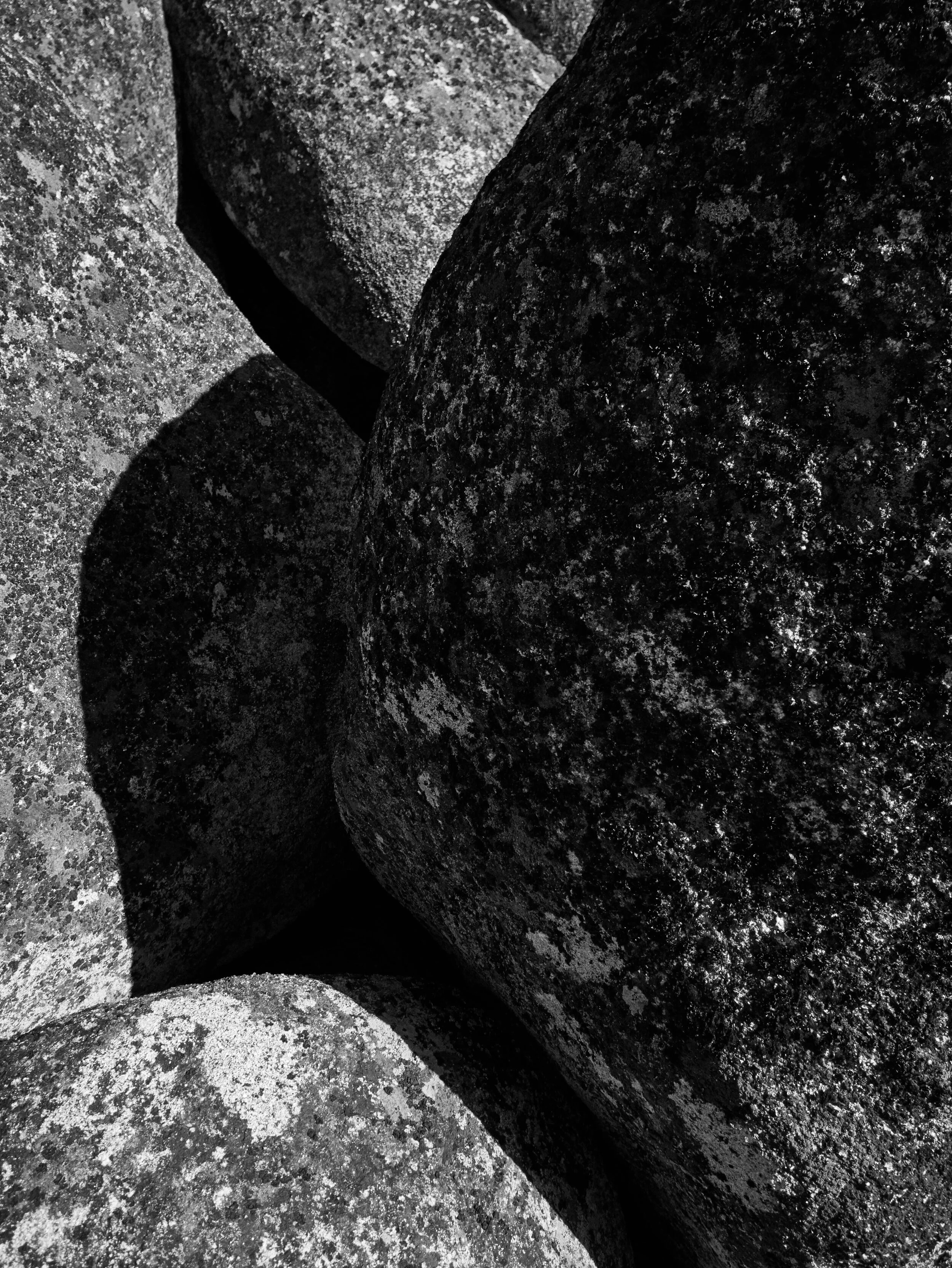 briones_tahoe_29801.jpg