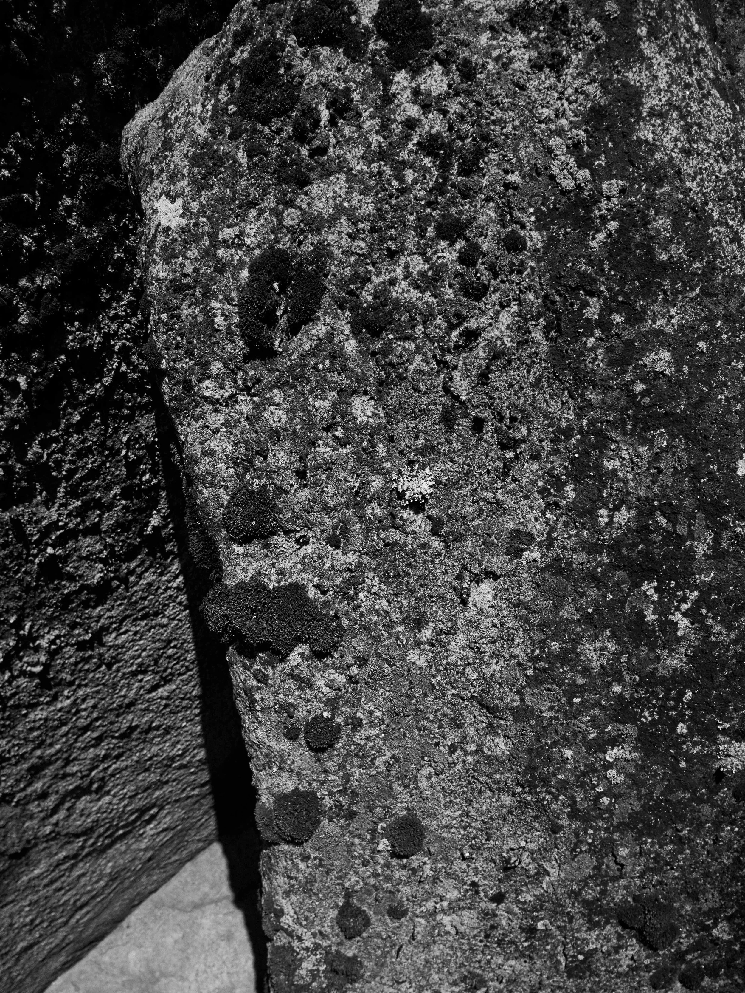 briones_tahoe_29868.jpg