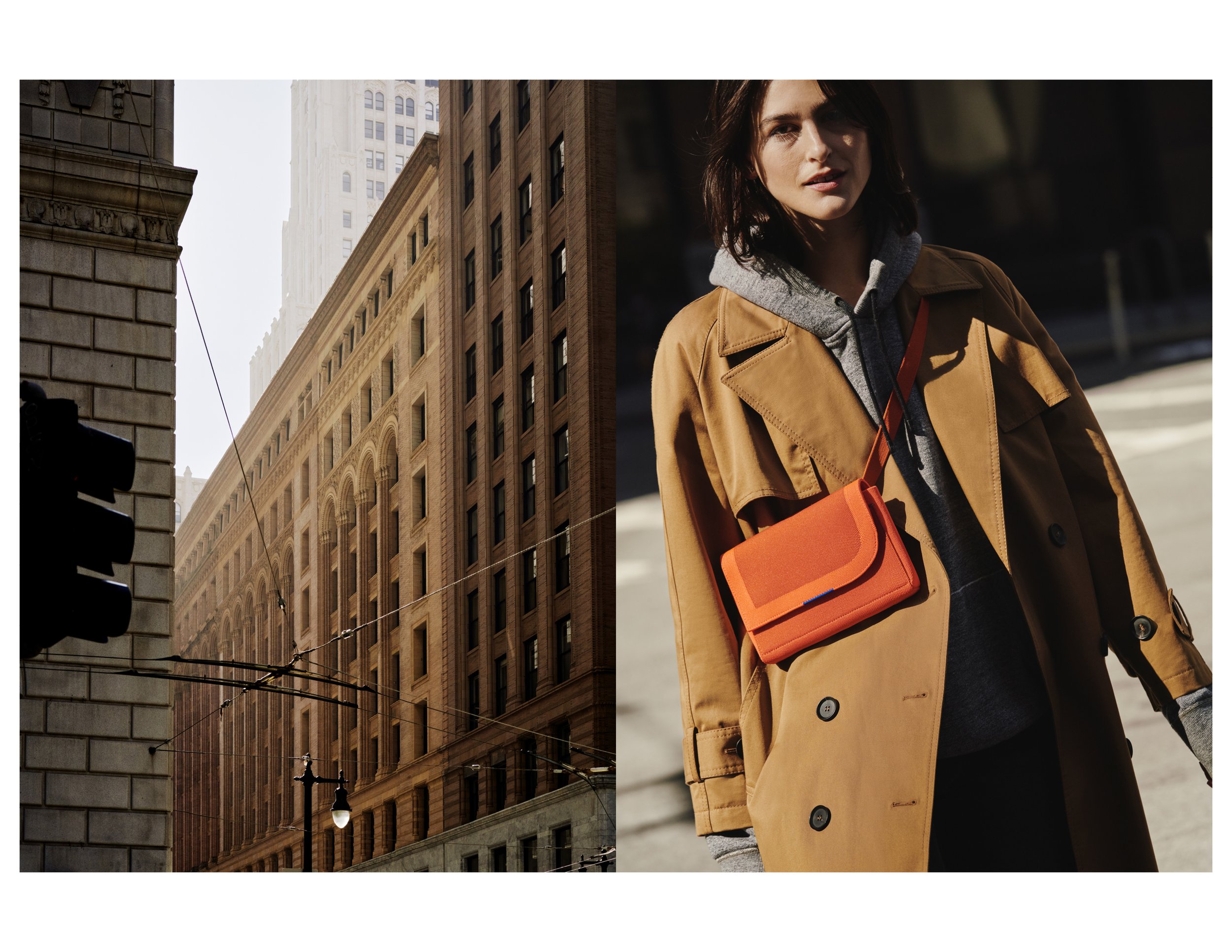 FALL 21 update site20.jpg