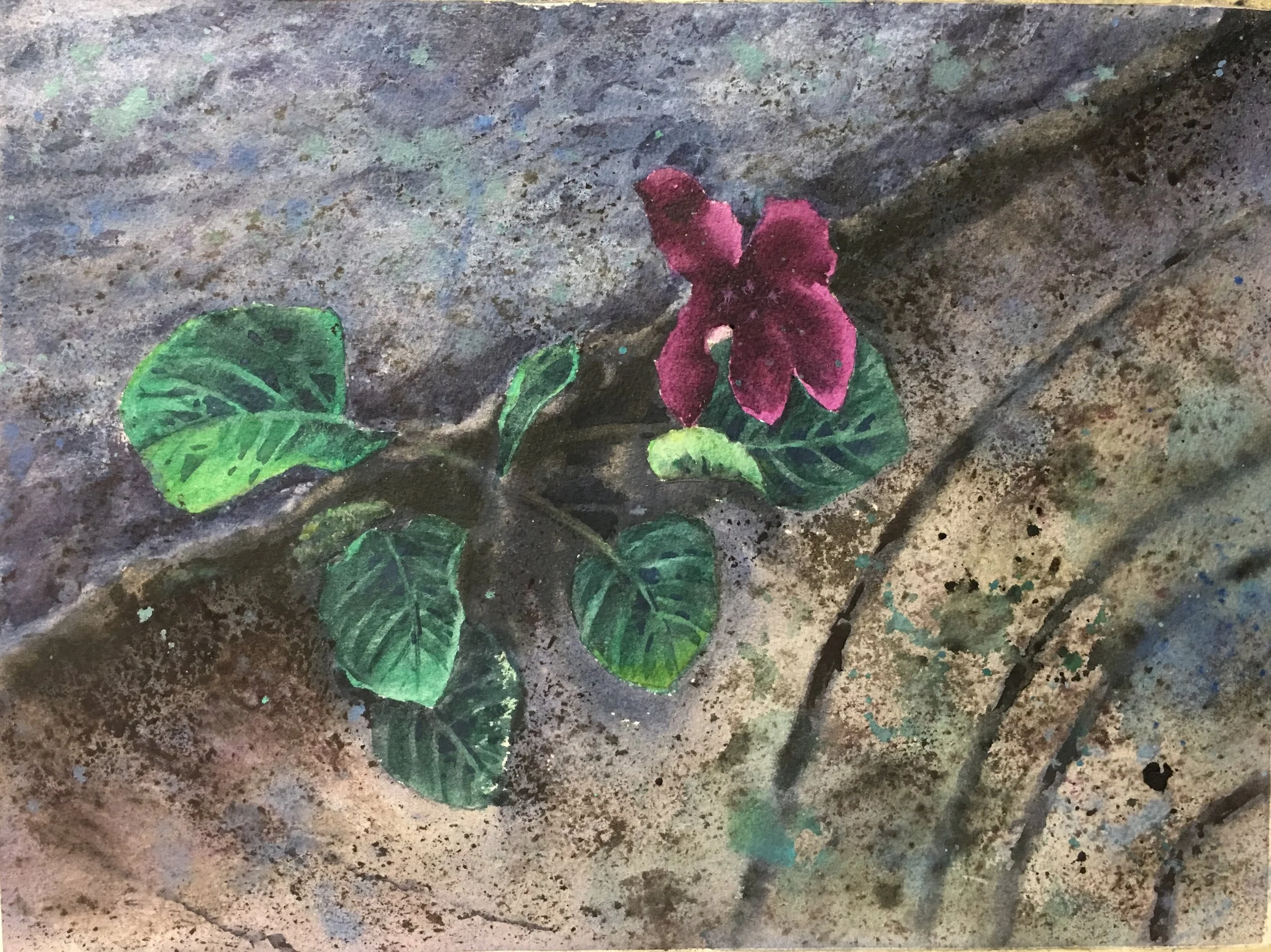 地面與小花.jpg
