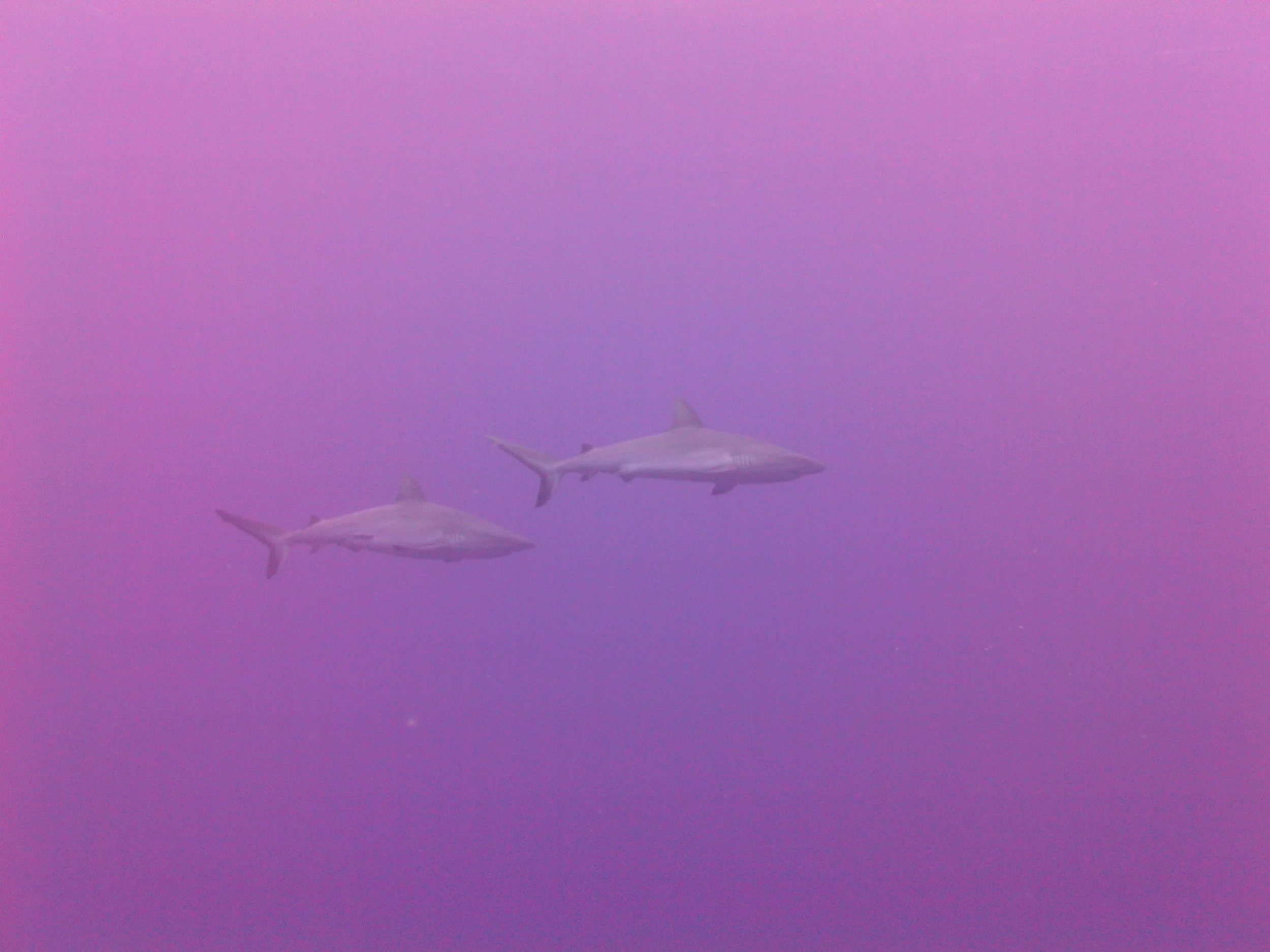 PICT0141.JPG