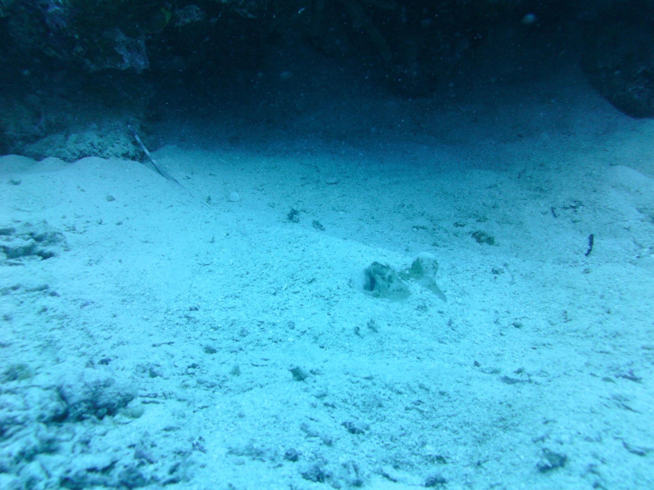 PICT0402.JPG